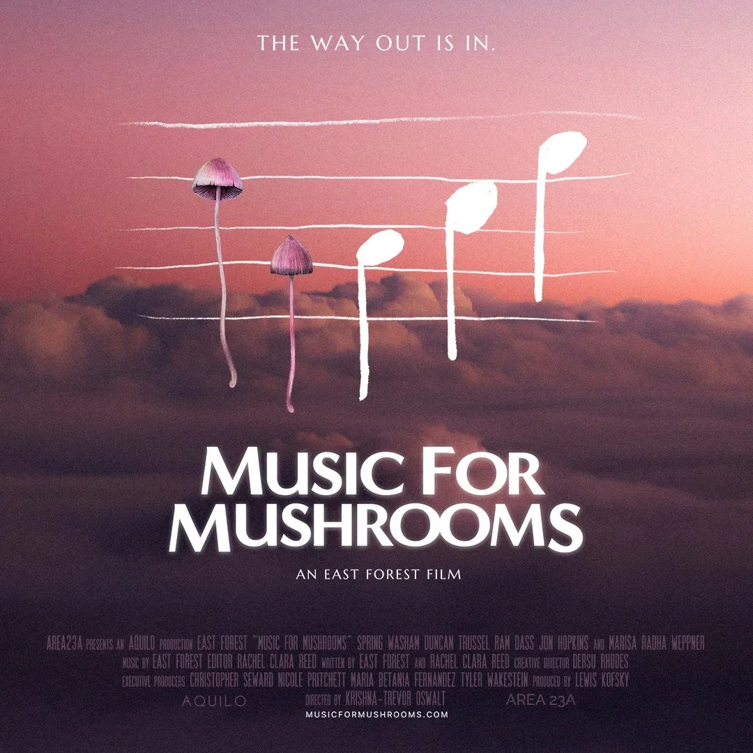 Promotional poster for a film titled 'Music for Mushrooms' with a background of a pink sky and clouds, featuring stylized mushroom illustrations and the tagline 'The way out is in.'