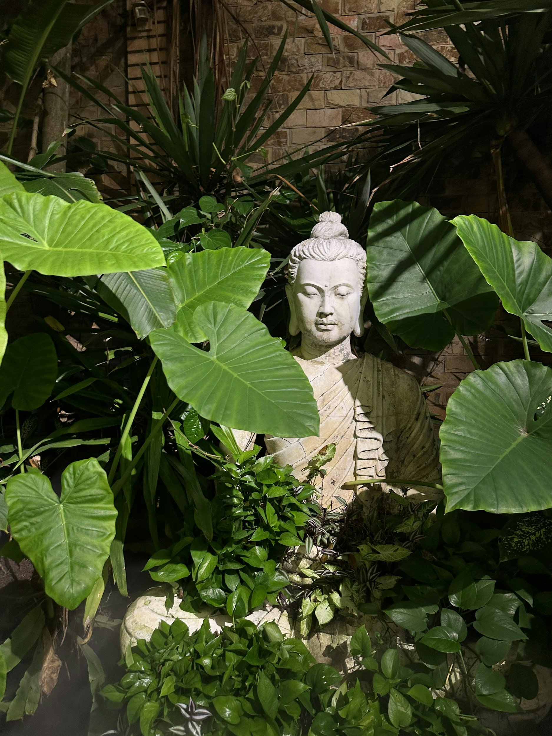Stone Buddha sitting between green leaves