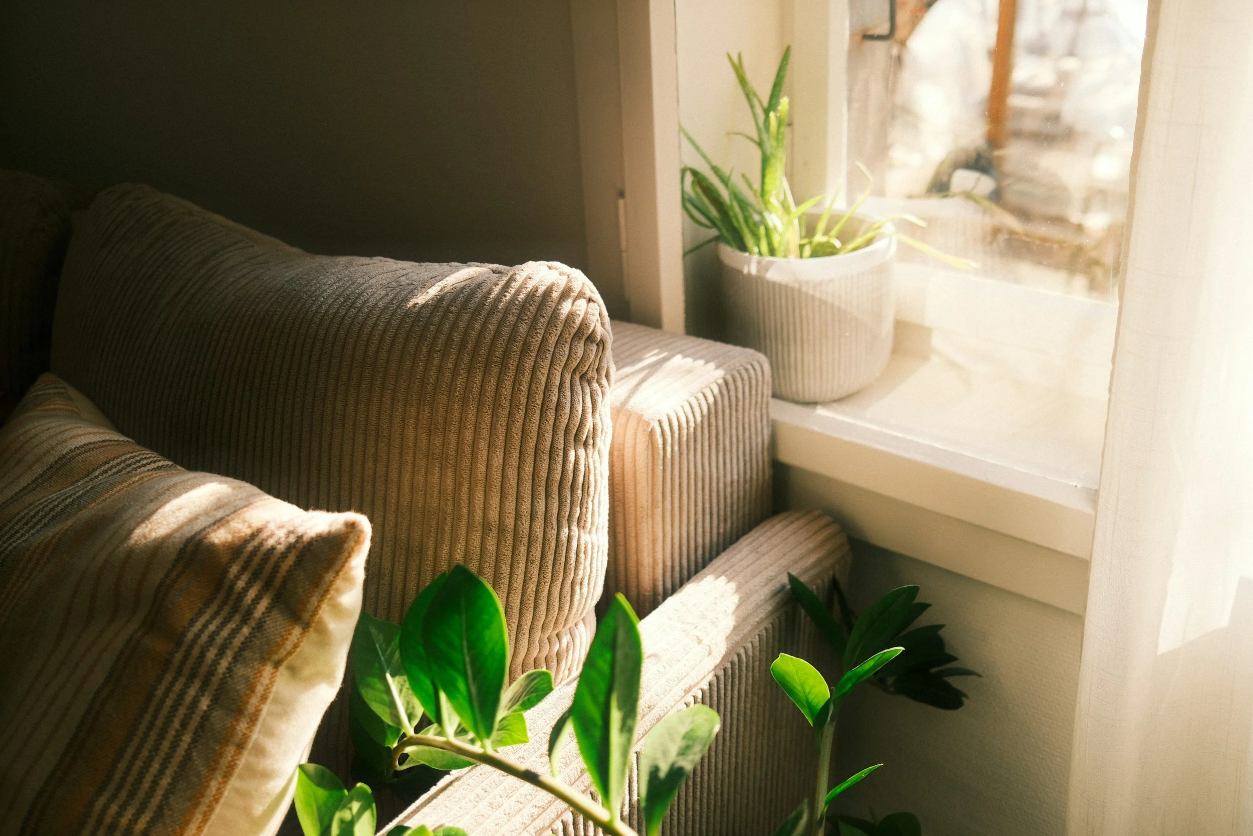 Sunlight streams into a cozy living room, illuminating a beige corduroy armchair next to a windowsill with a potted green plant.
