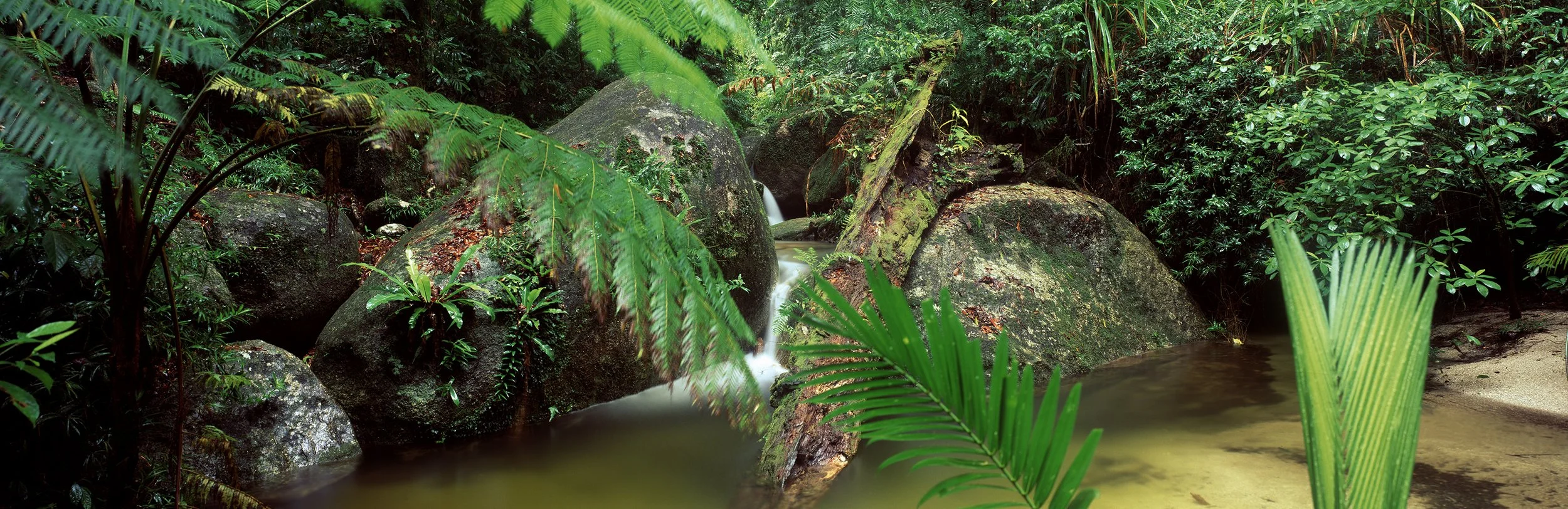 Mossman George, Queensland
