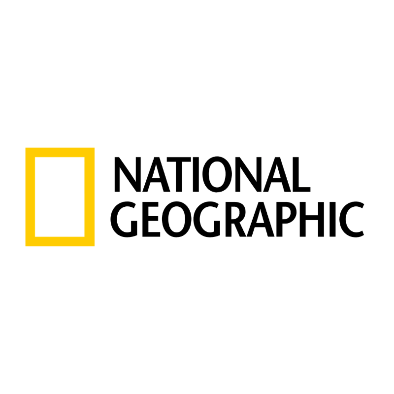 21.png