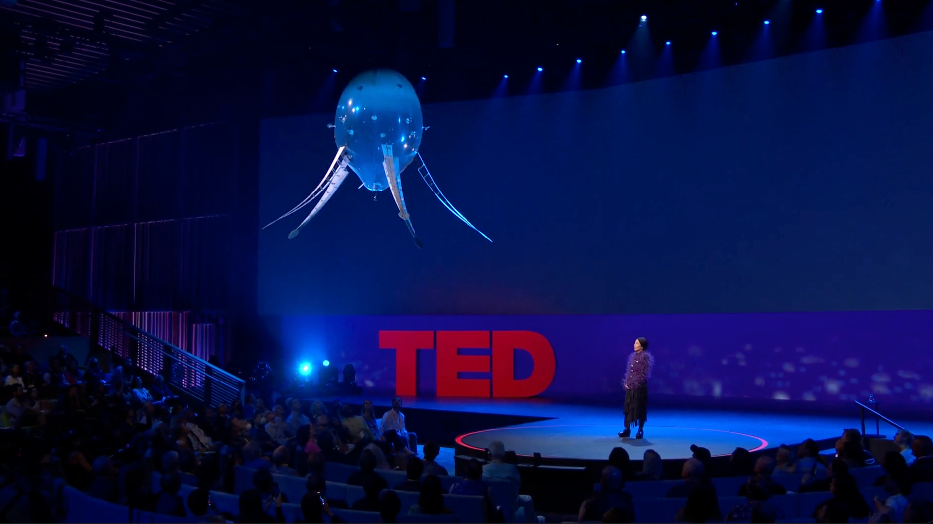 TED Talks