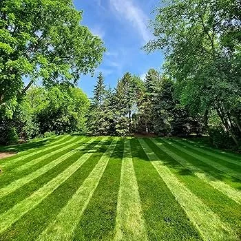 lawn.jpg