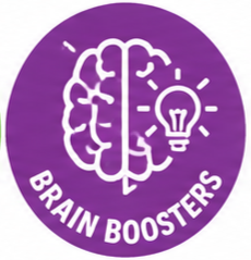 Purple circular logo with an illustration of a brain and a light bulb, divided down the middle, with the words 'Brain Boosters' below.