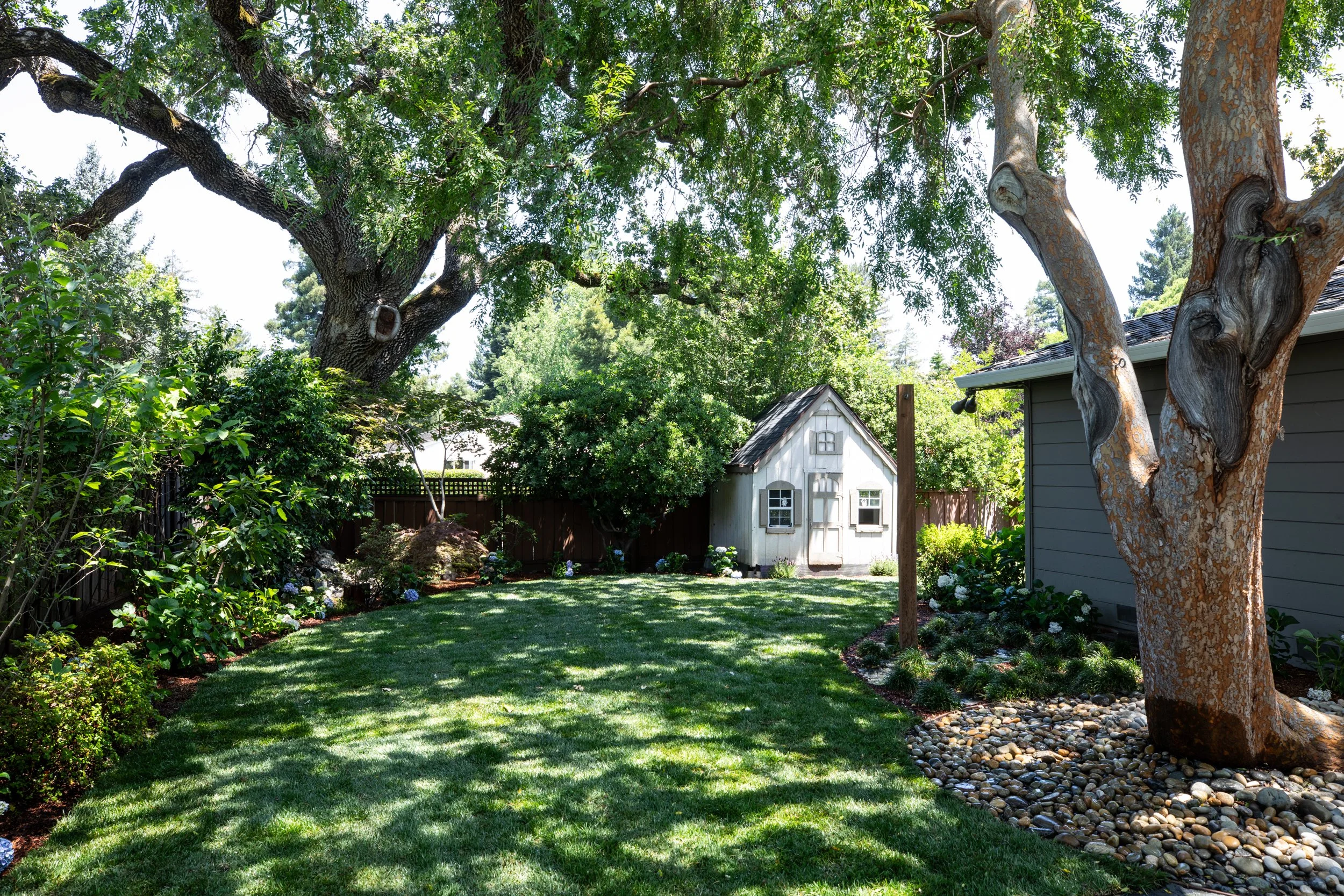 Backyard garden with a large tree, a small shed, and a house, with well-maintained lawn and landscaped flower beds.