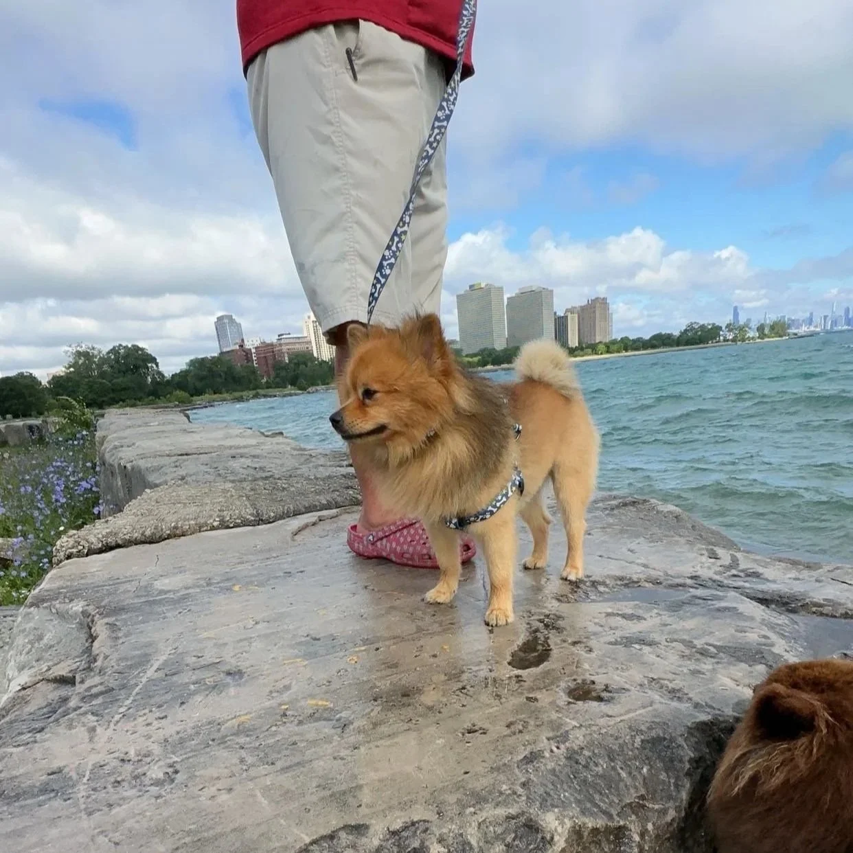 Lake Shore Drive