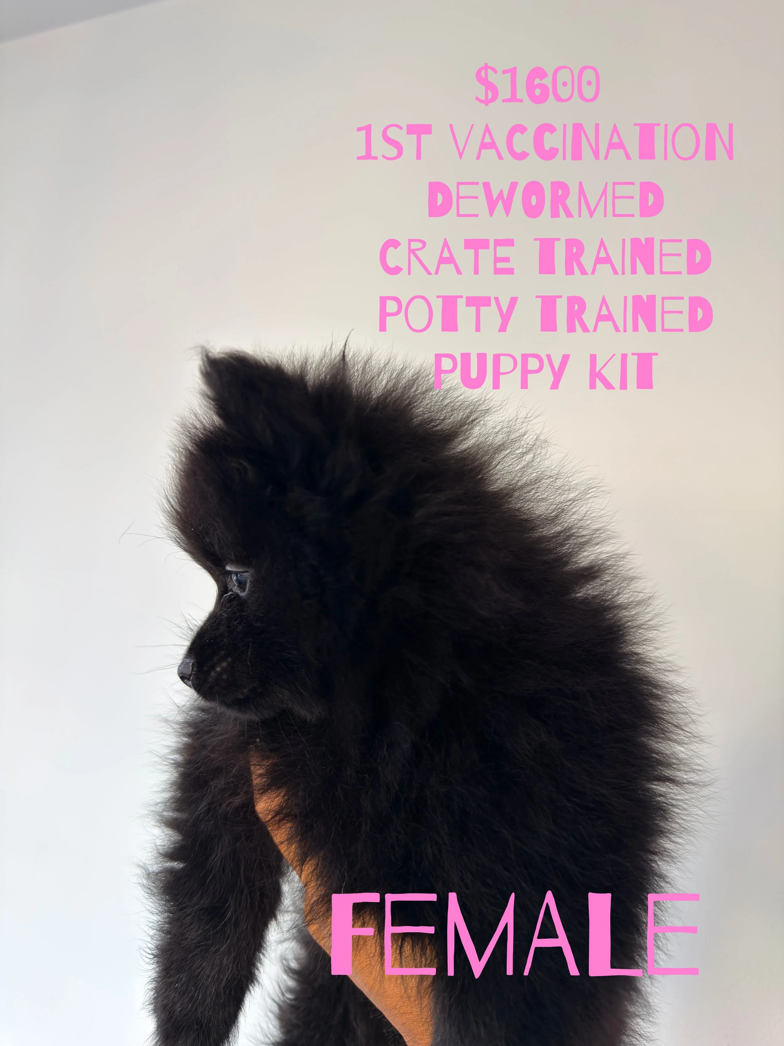copy_B4A12F7E-F7F1-498C-B65C-201A7D18D7DD.jpeg