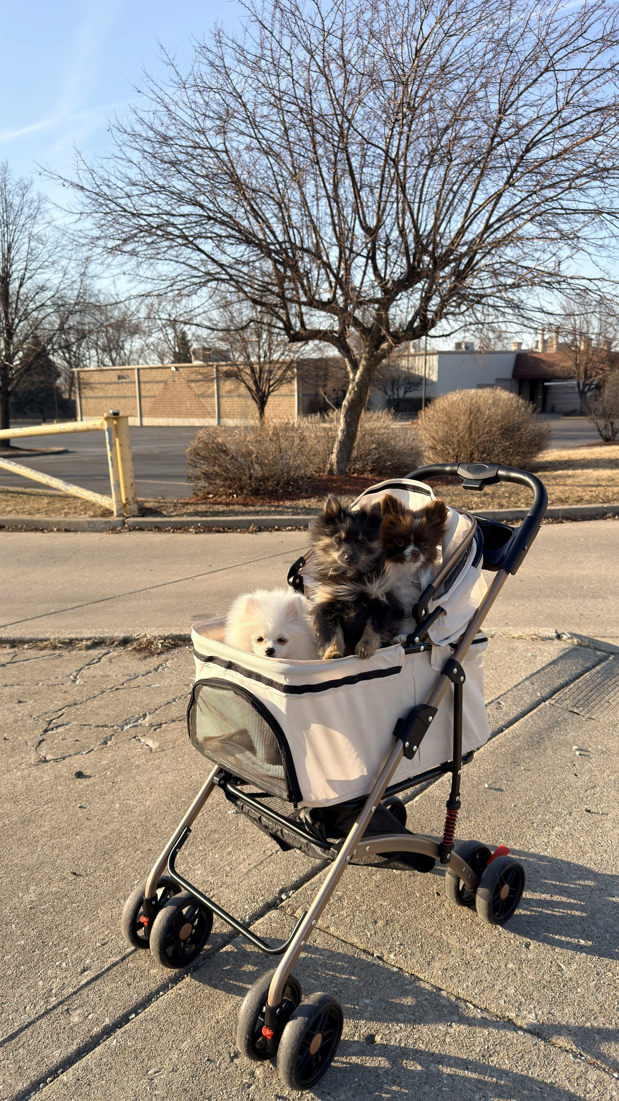 Walking the streets of Joliet
