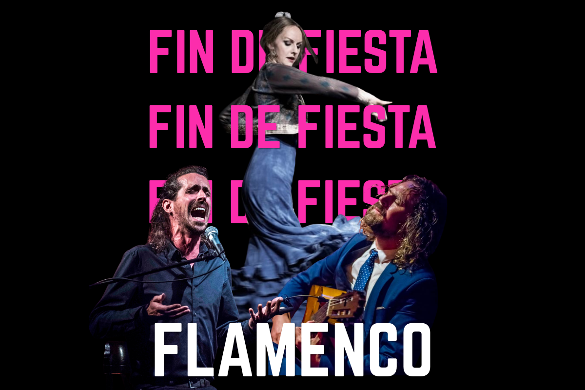 Ottawa flamenco workshop