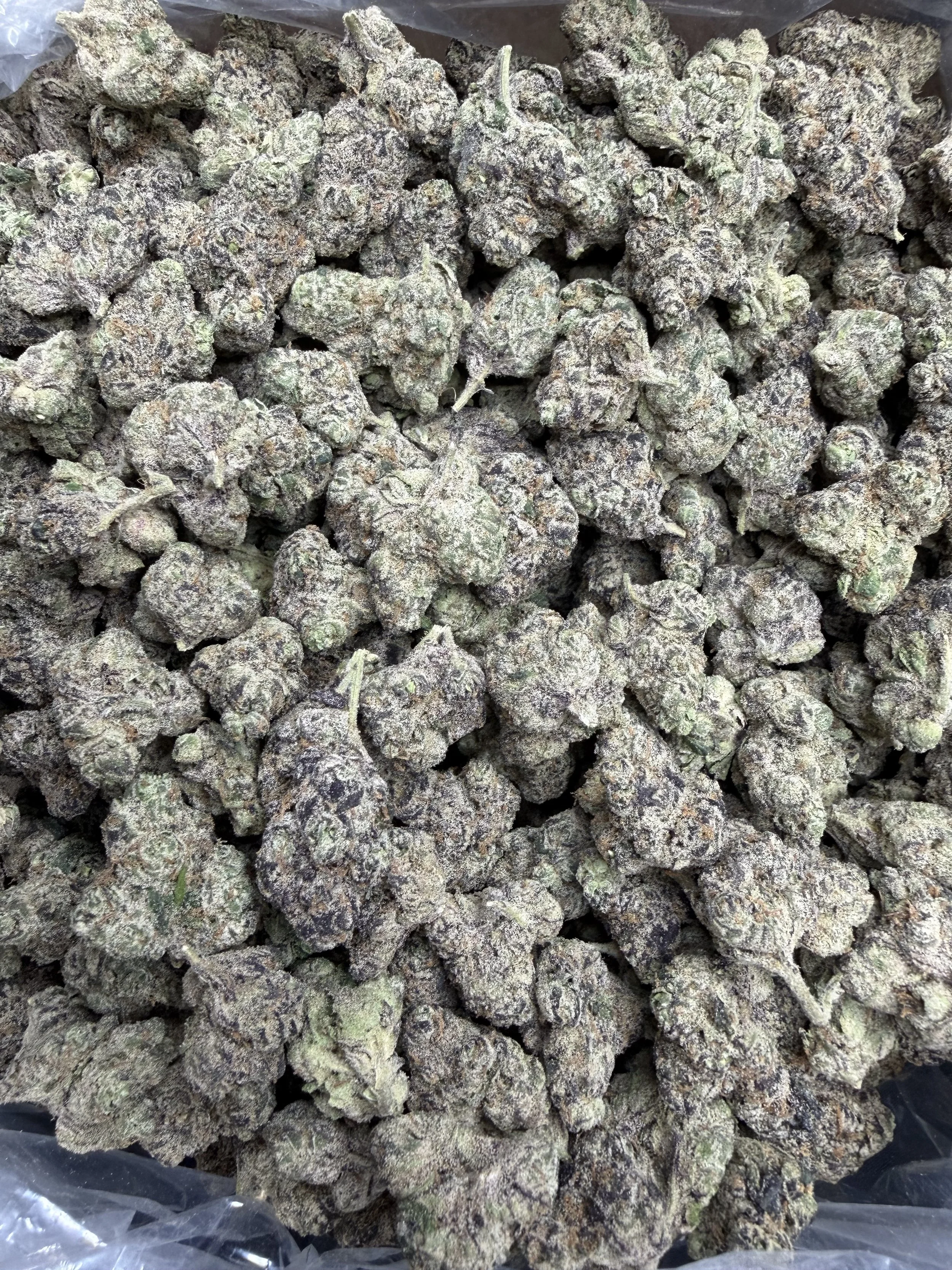 Raspberry runtz