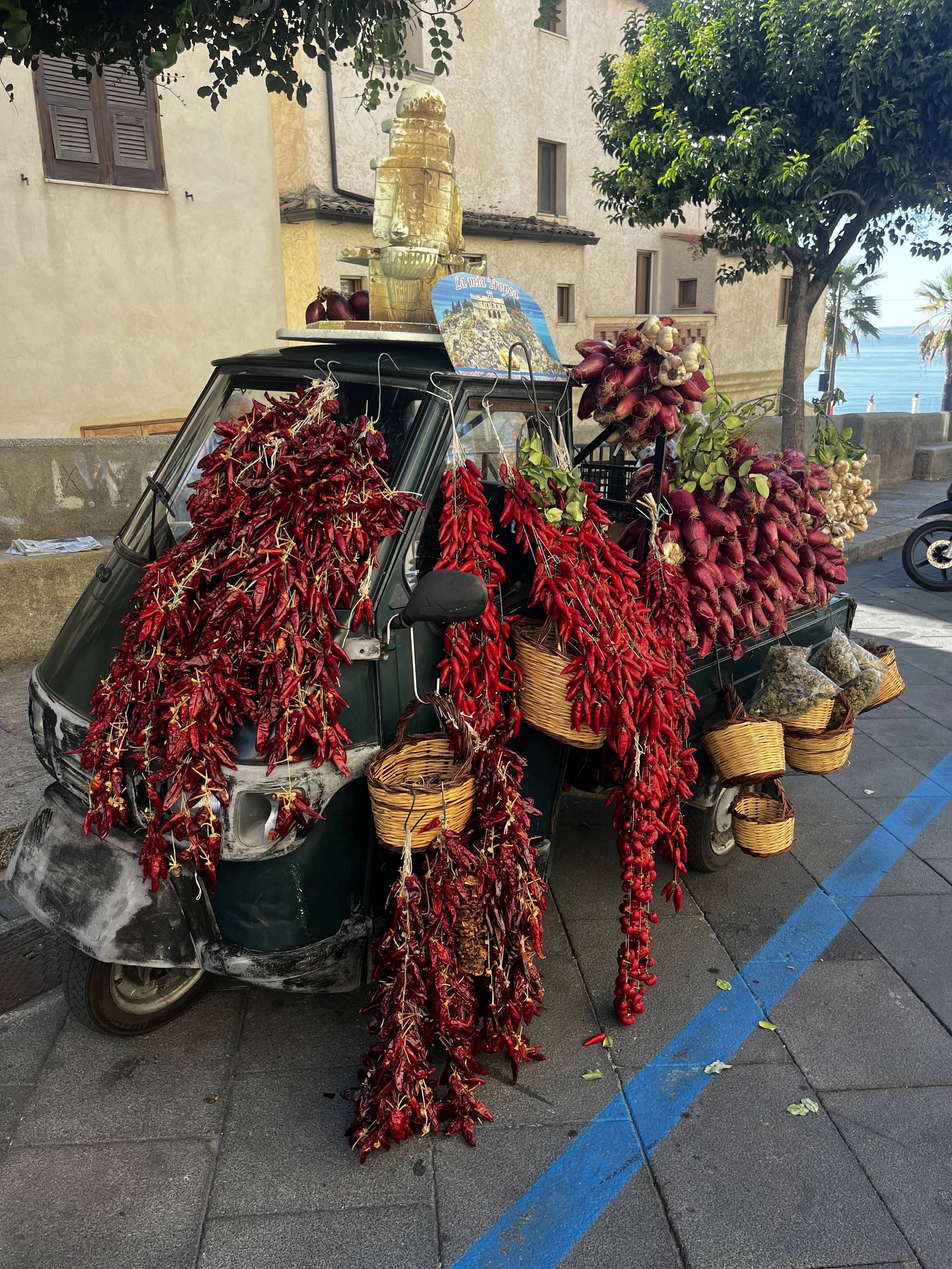 A small Italian tour vehicle decorated with red and purple onions, red chili peppers, garlic, and baskets of produce parked on the streets of Tropea Calabria near a beach with trees and houses in the background.