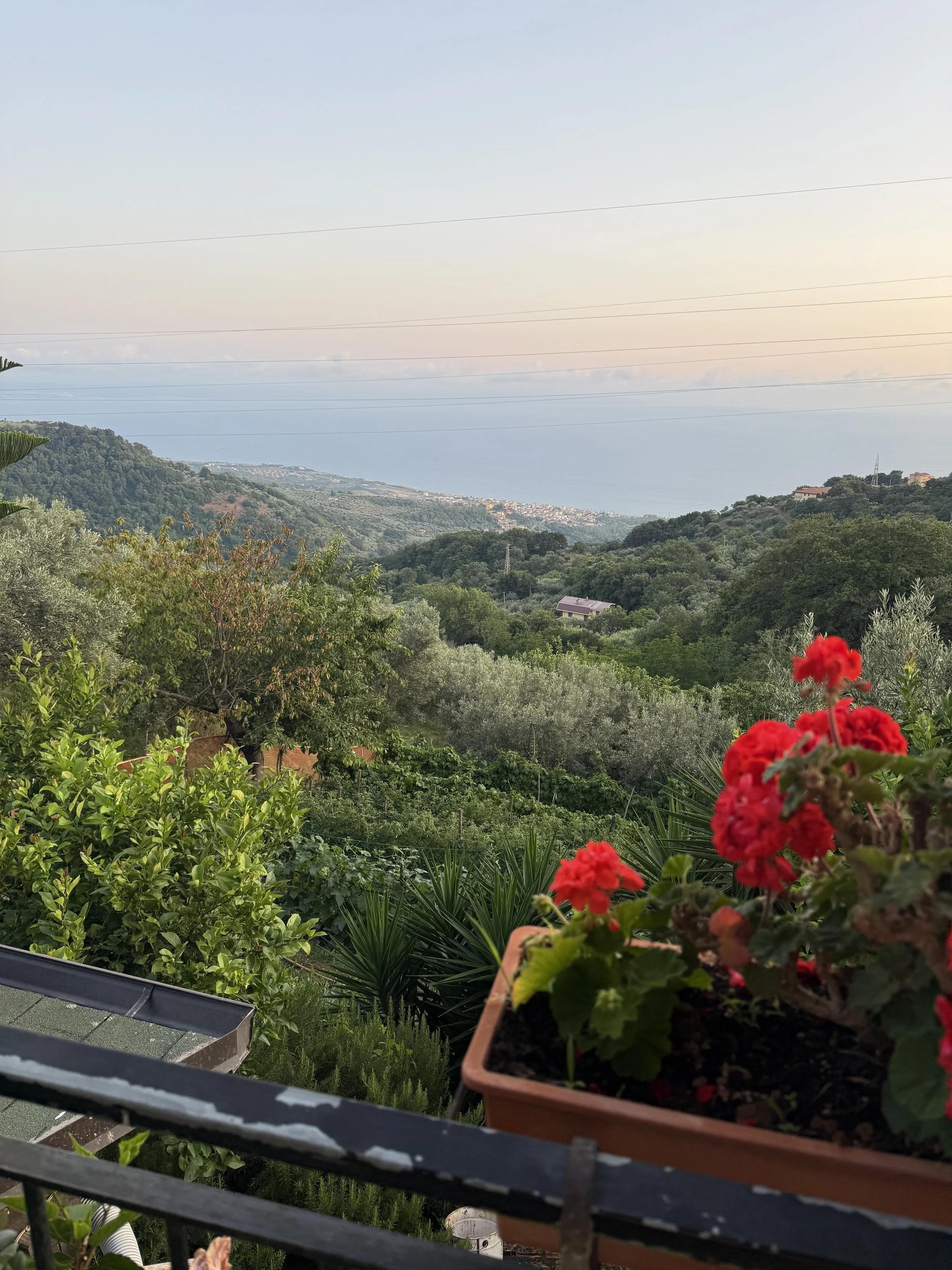 View from a balcony showing a lush green hillside with trees and plants leading to a distant coastline and the sea under a clear sky, with red flowers in a planter in the foreground.