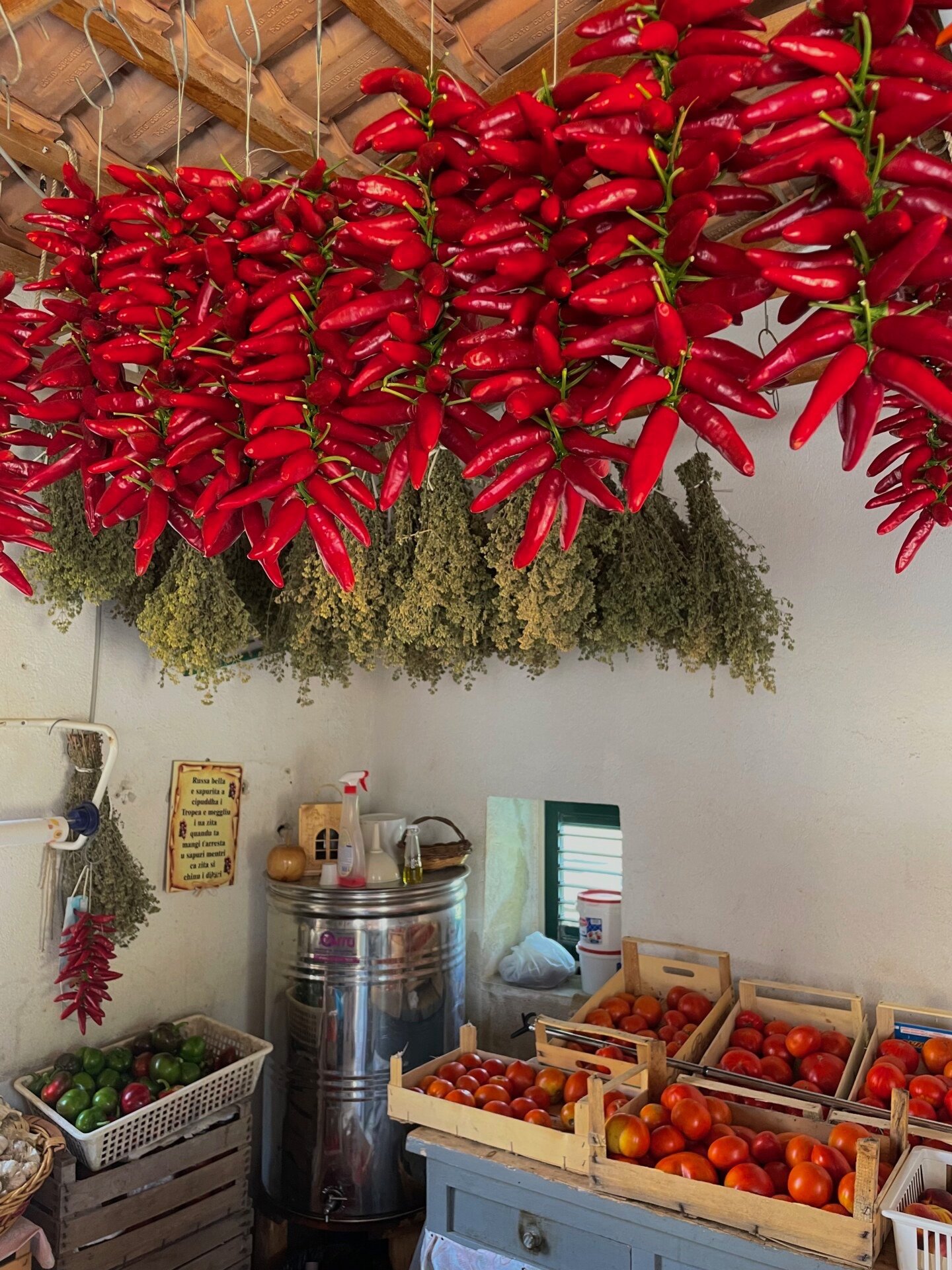 Interior of a rustic farm stand with hanging red chili peppers, crates filled with red and green tomatoes, and various small supplies, with a small window and a wooden sign on the wall.