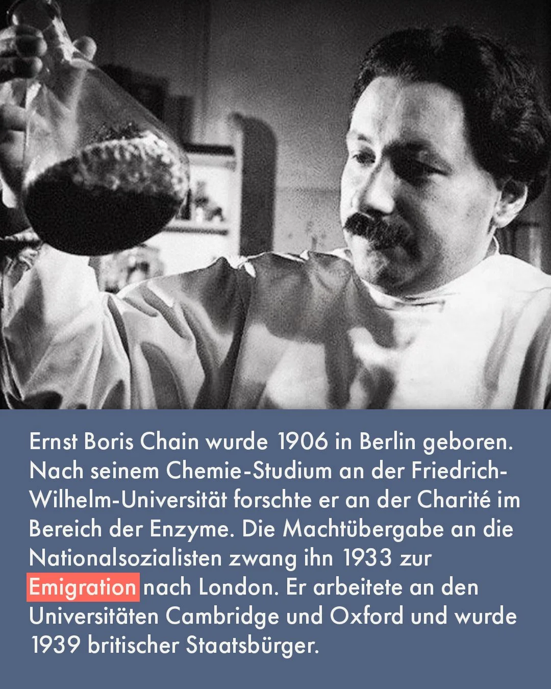 Ernst-Boris-Chain-2.jpg