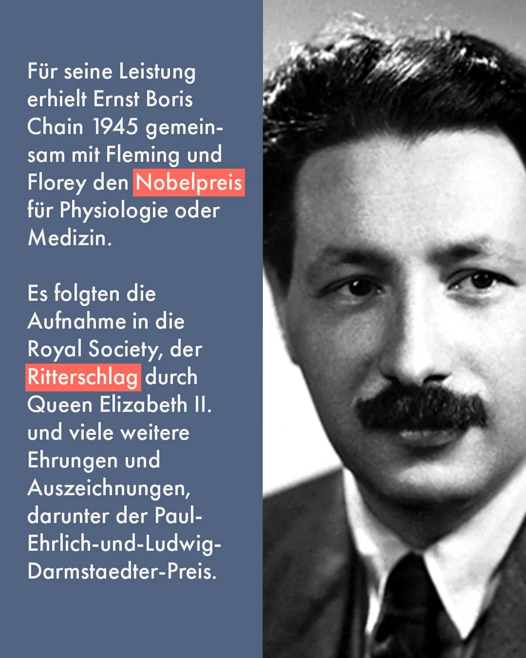 Ernst-Boris-Chain-4.jpg