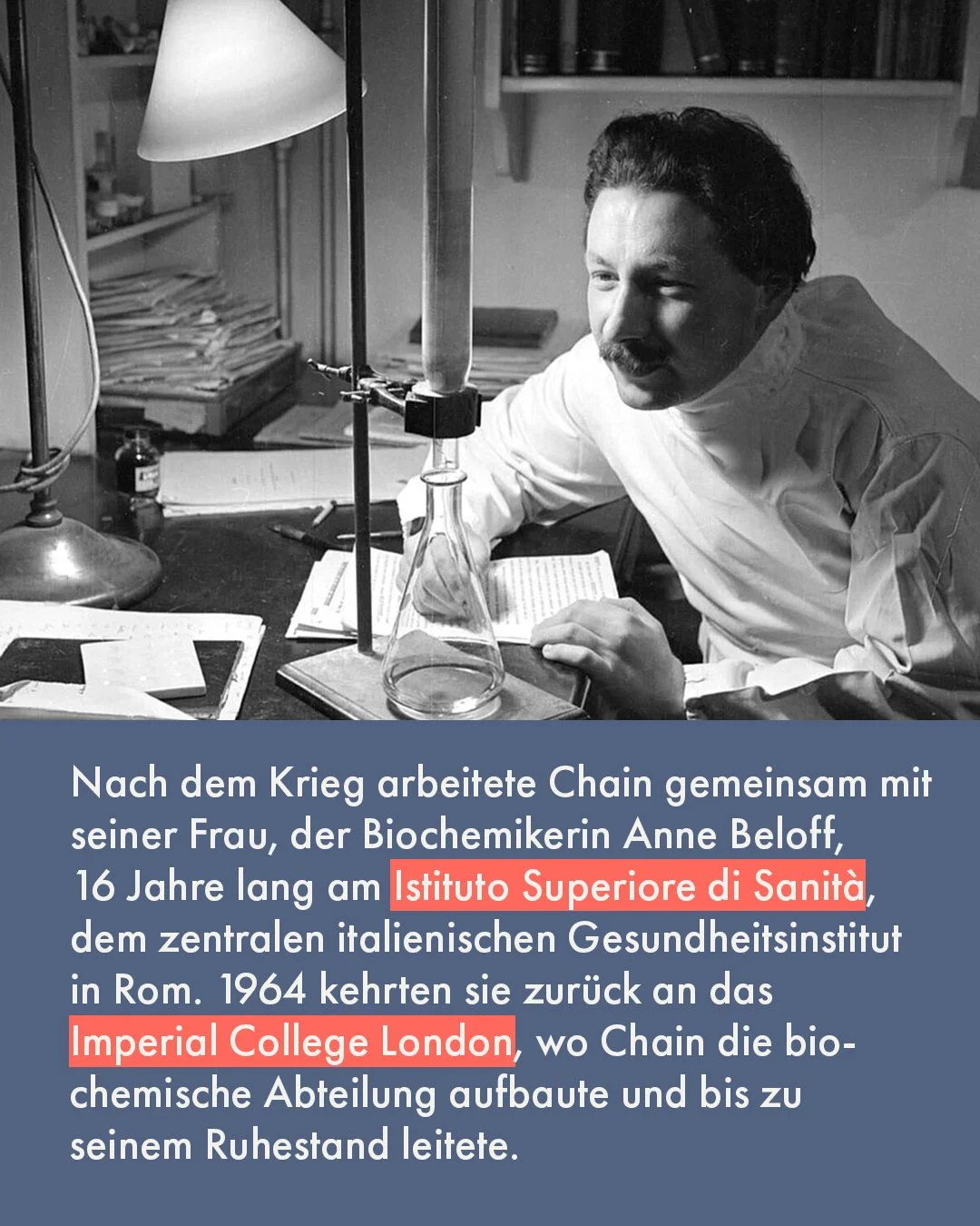 Ernst-Boris-Chain-5.jpg