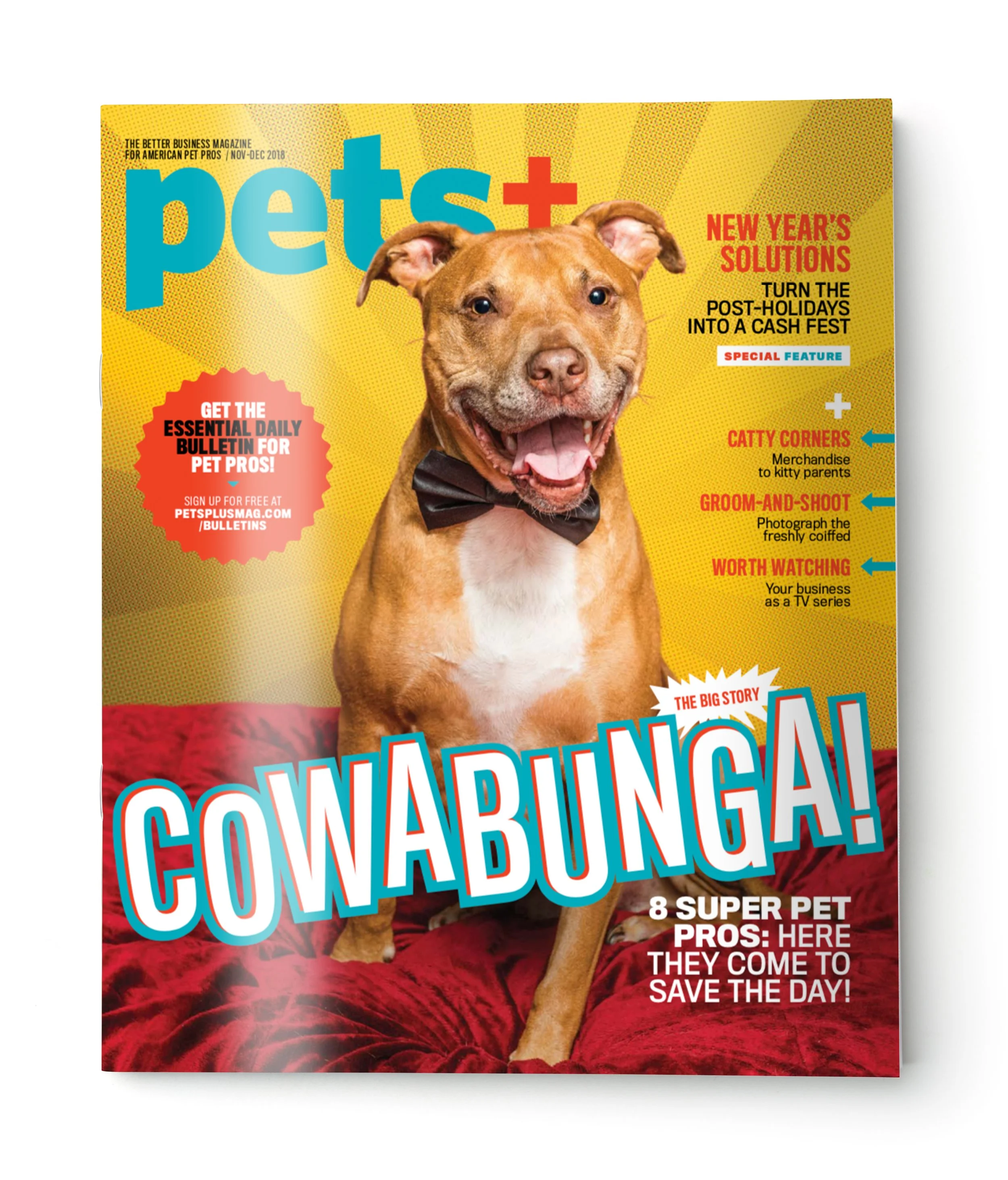pets-dec-2018.jpg