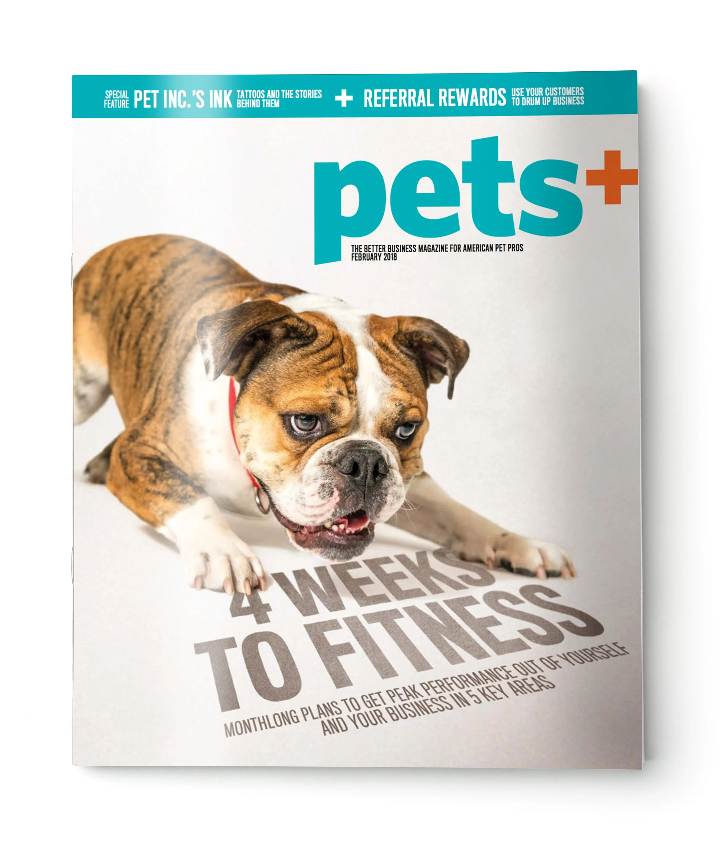 pets-feb-2018.jpg