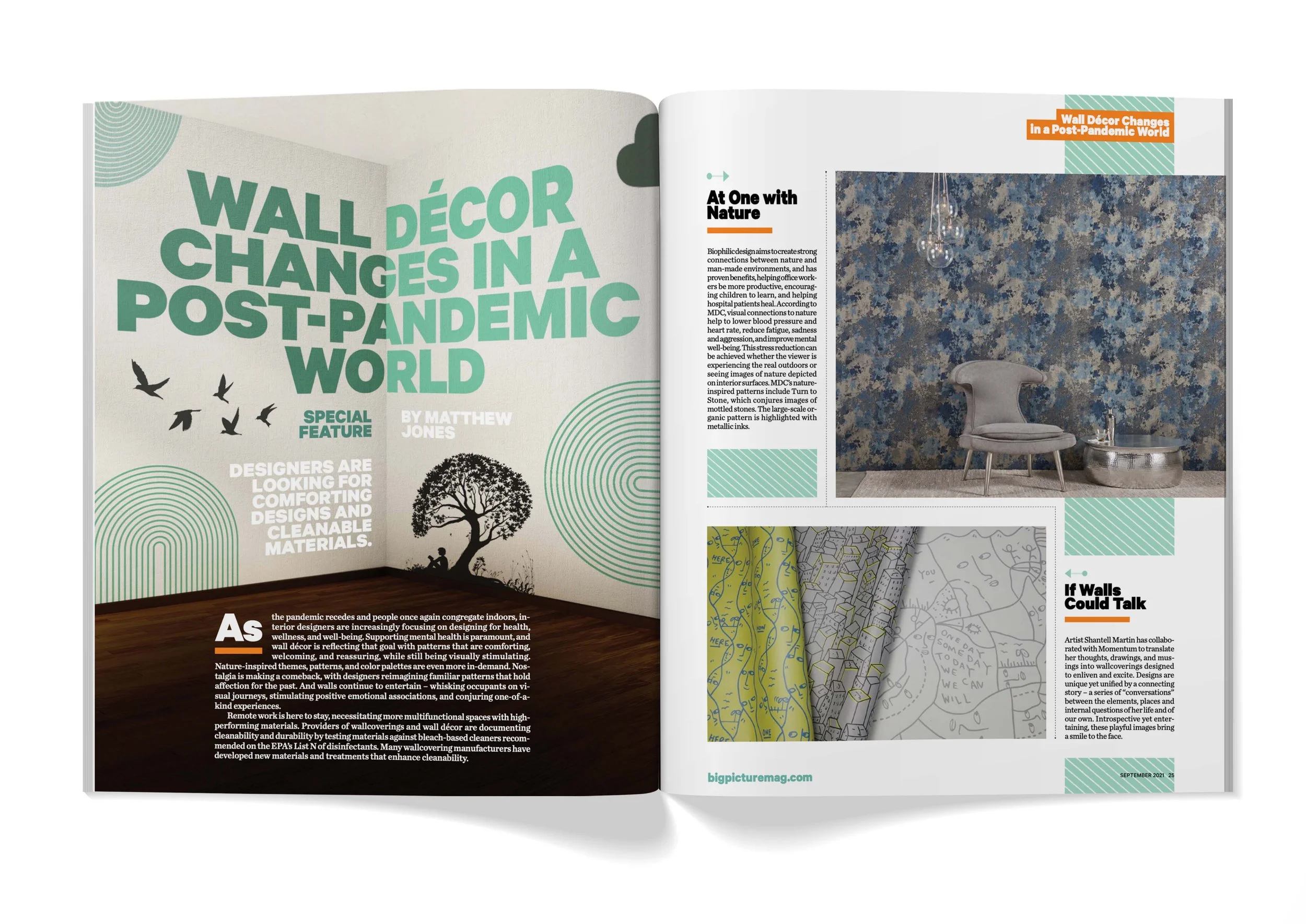BIG PICTURE Feature Design Sep 2021.jpg