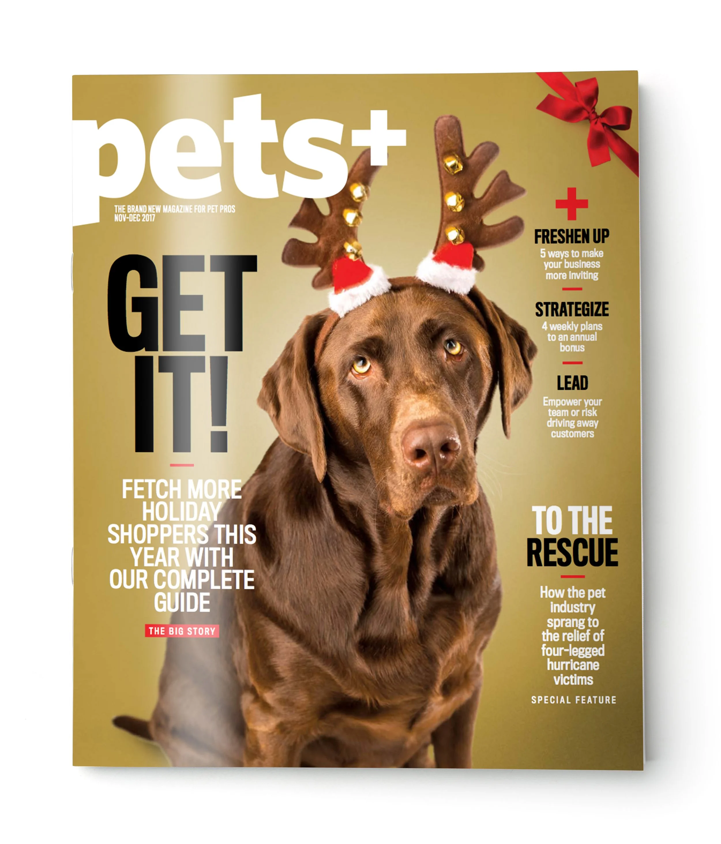 pets-nov-dec-2017.jpg