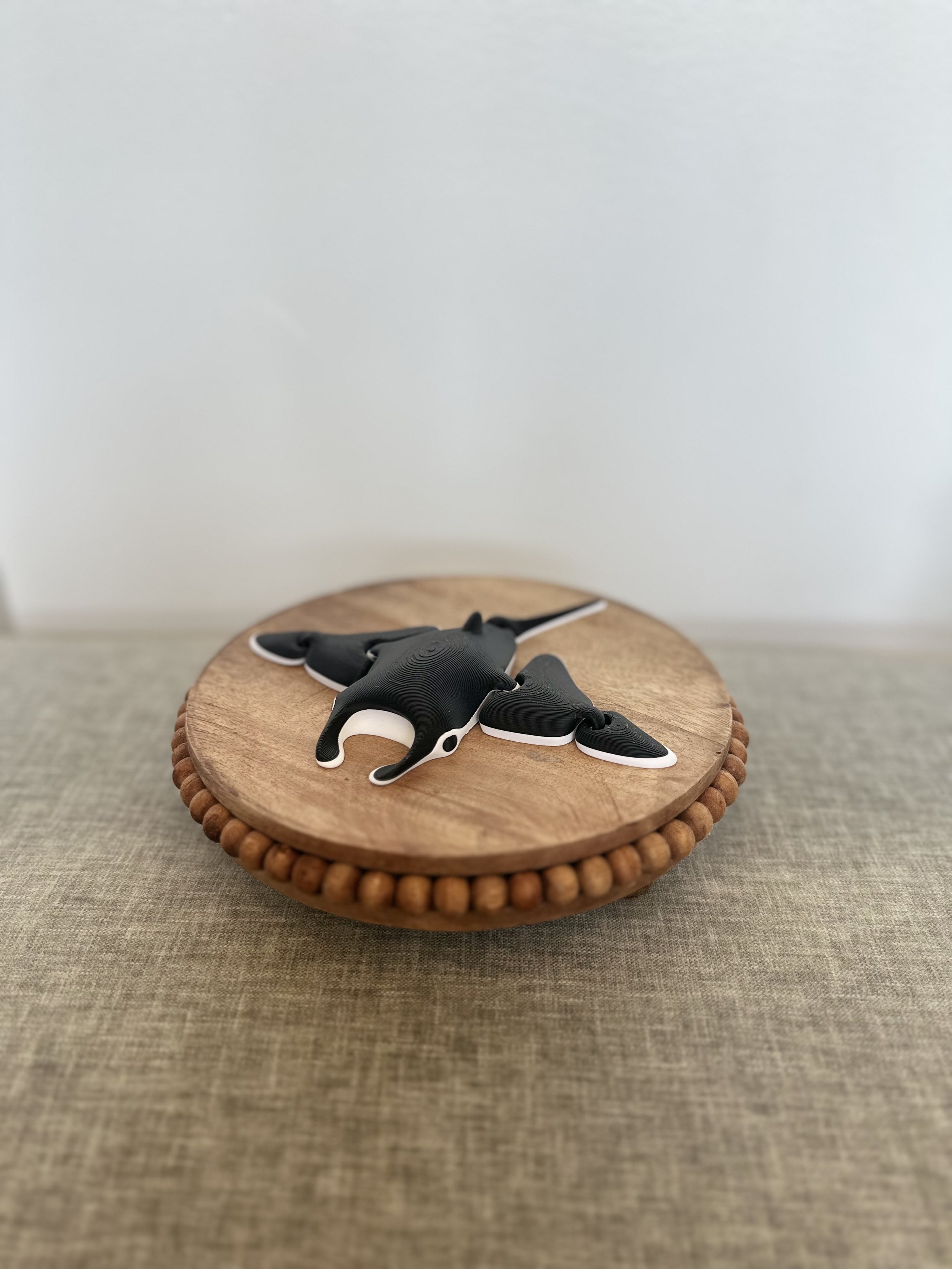 Manta Ray
