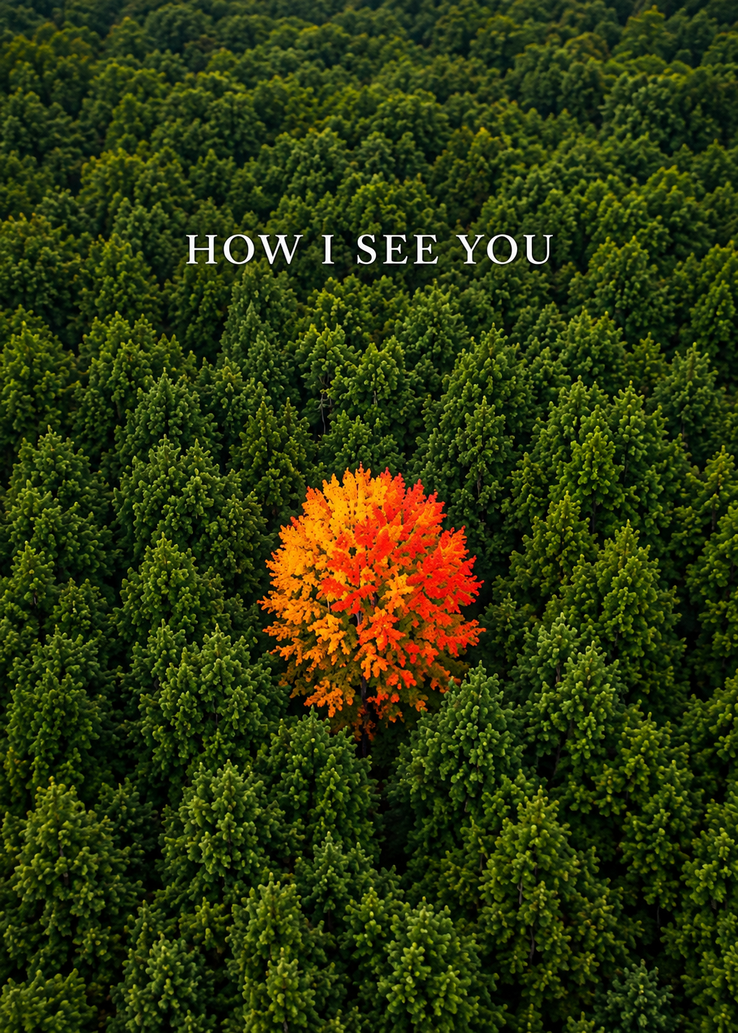 I Love You Card Romantic Relationship Card How I See You