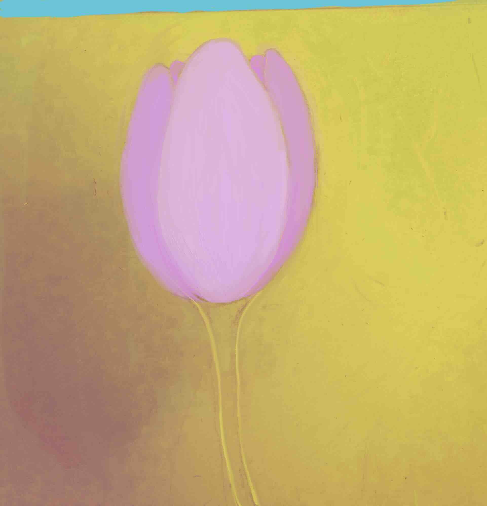 Pink Tulip, digital, Sheila Lopez