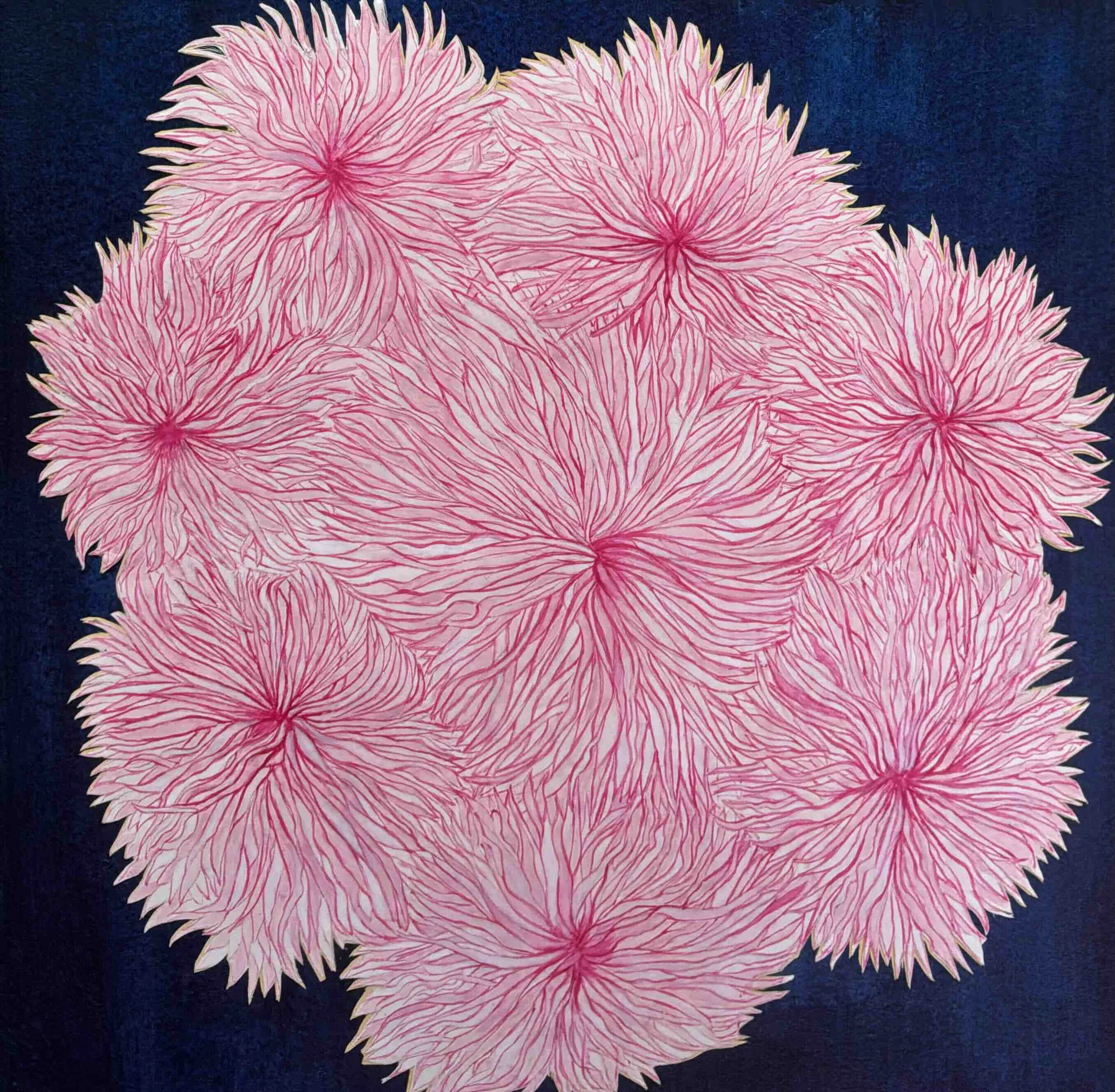 Pink Dahlia, gauche, Sheila Lopez