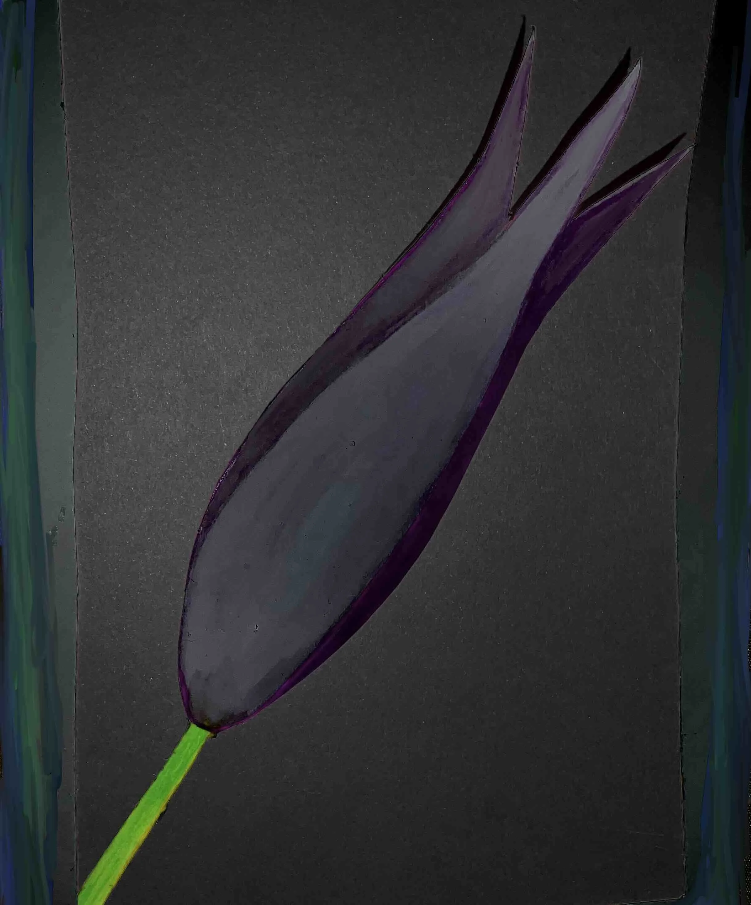 Black Tulip, digital, Sheila Lopez