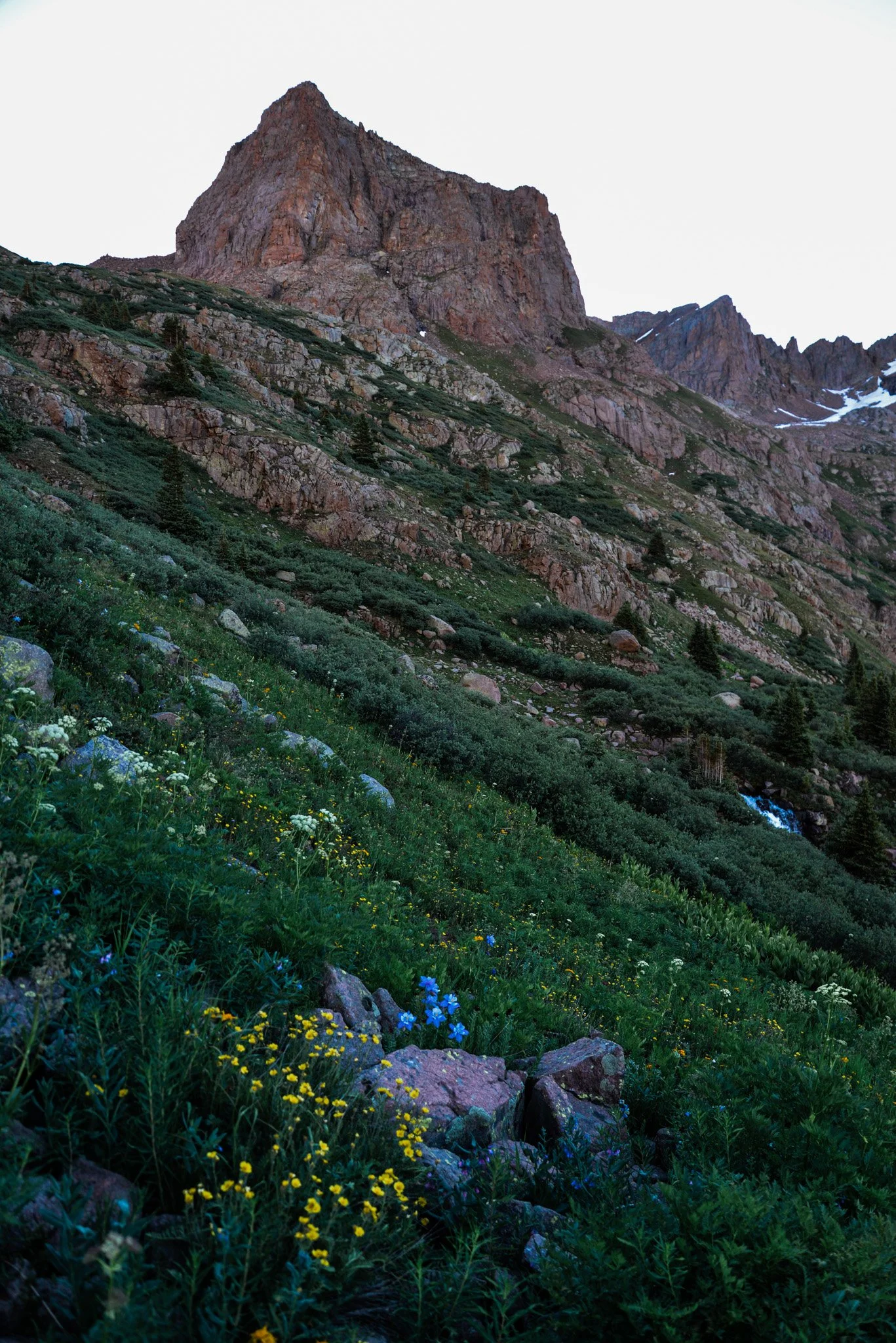 A mountainous landscape with rocky peaks and green vegetation, including wildflowers and small trees, in the foreground.