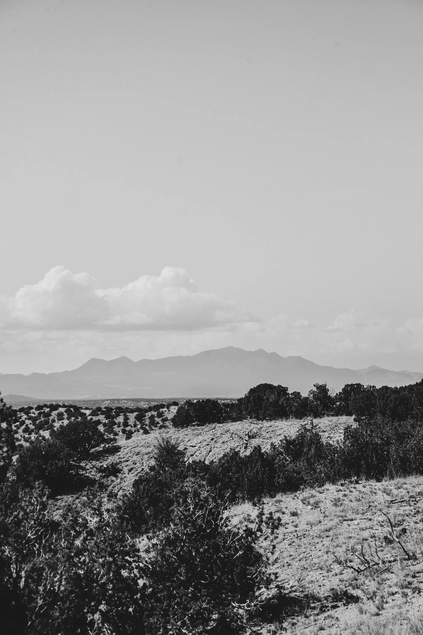 DSC_3558.jpg