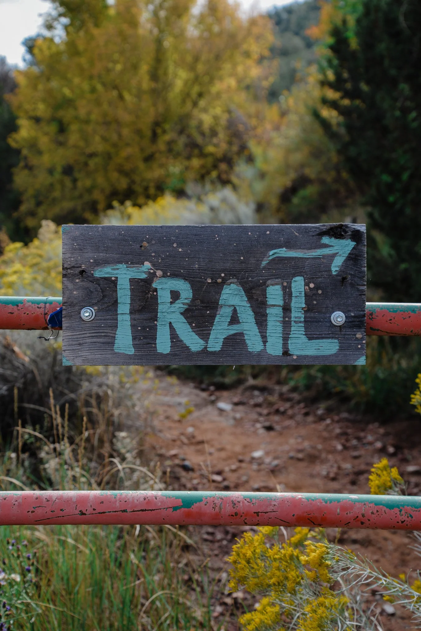 A wooden trail sign with the word 'TRAIL' painted in light blue, attached to a red and green metal railing. A dirt_path surrounded by yellow and green foliage. The background shows blurred trees and sky.