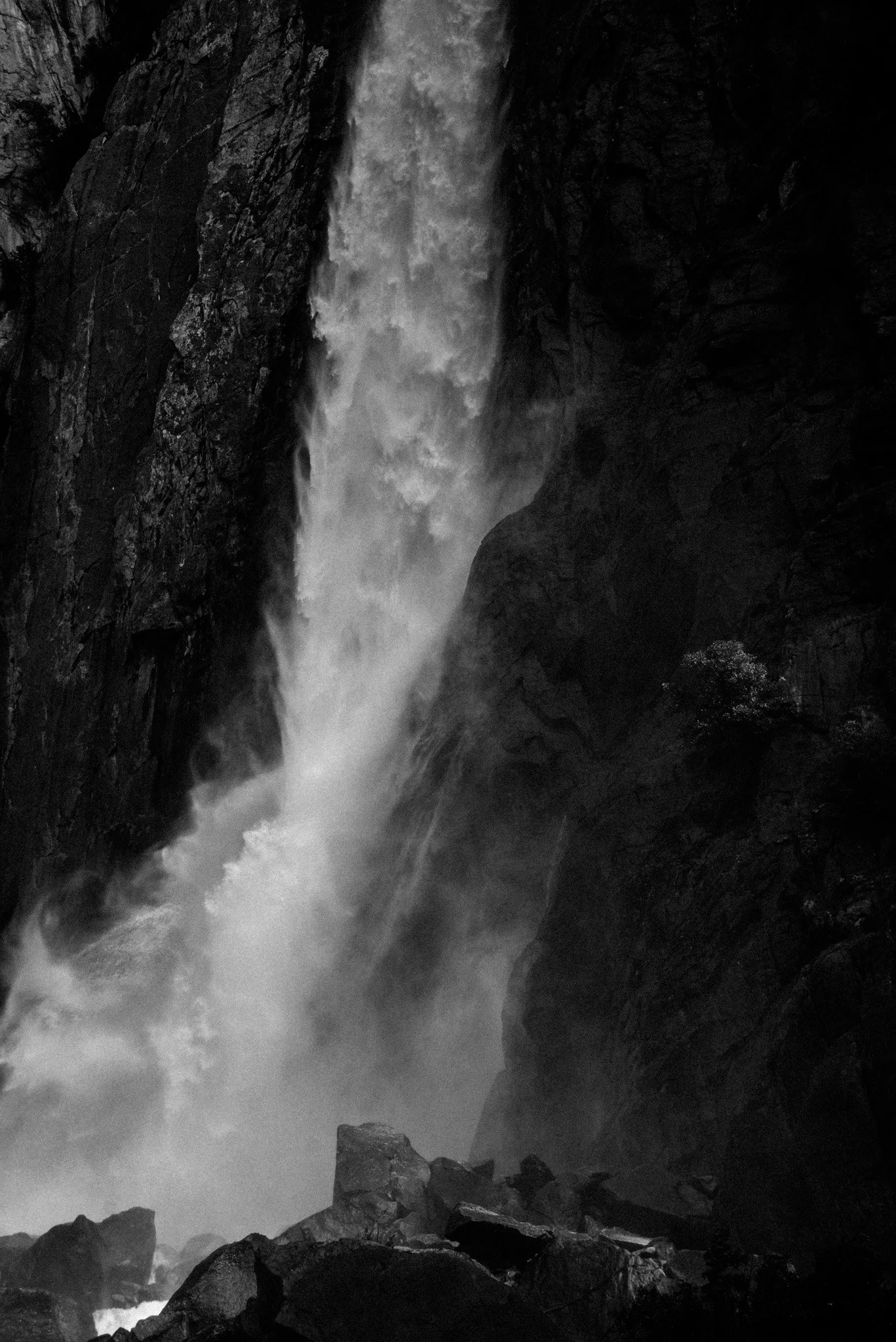 DSC_5301.jpg