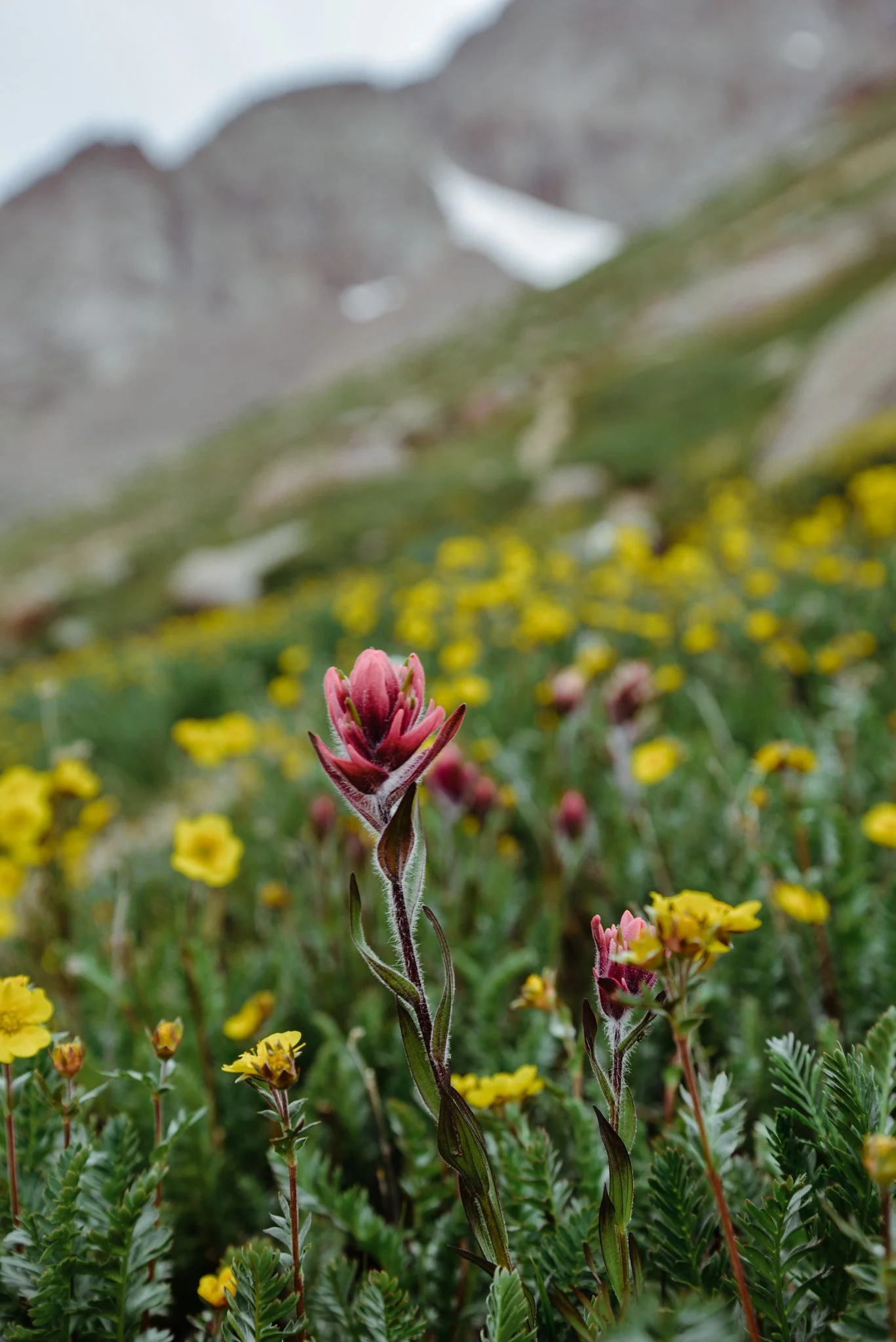DSC_6206.jpg