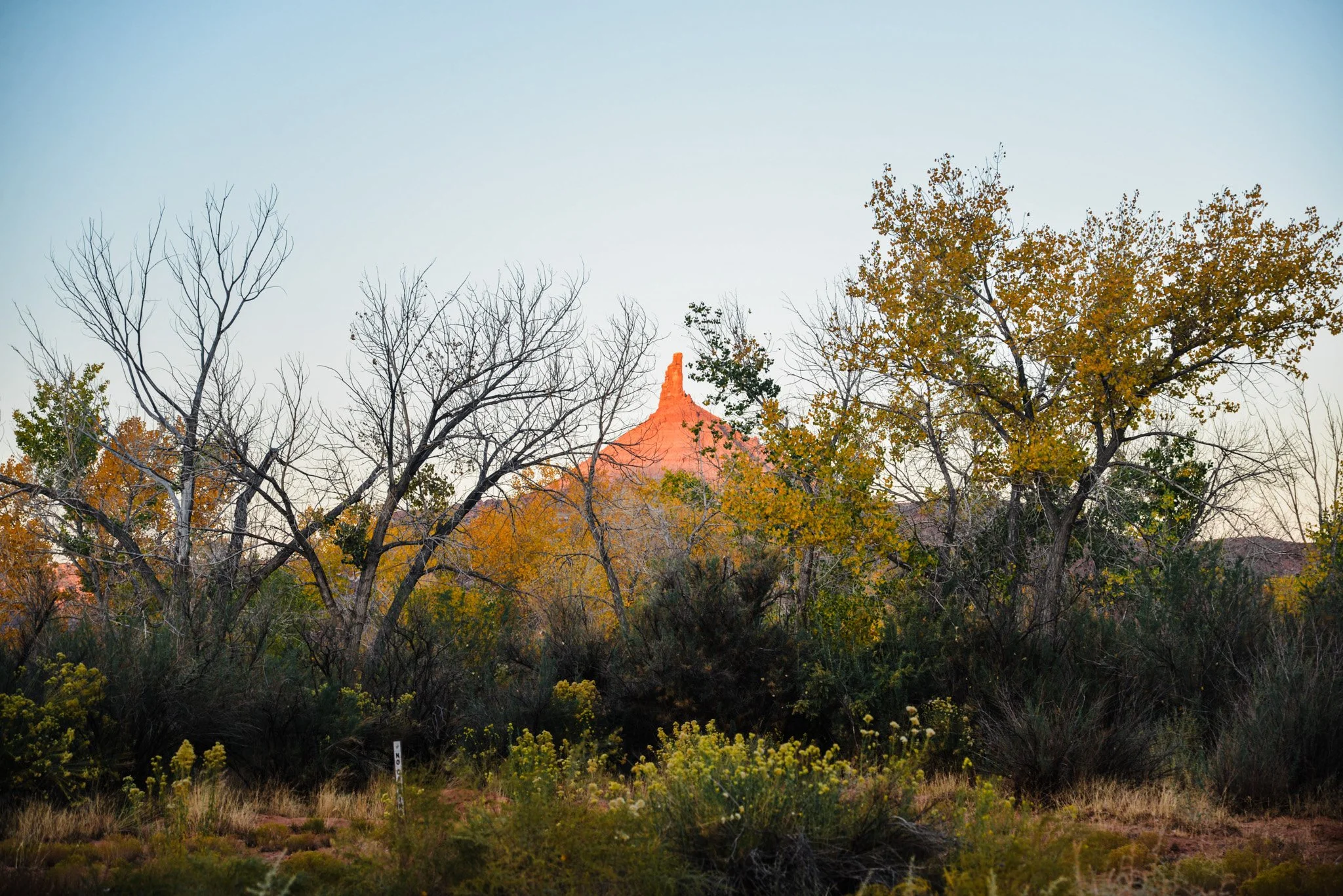 Scenic view of trees with colorful autumn leaves, with a red-orange mountain peak in the background under a clear sky.