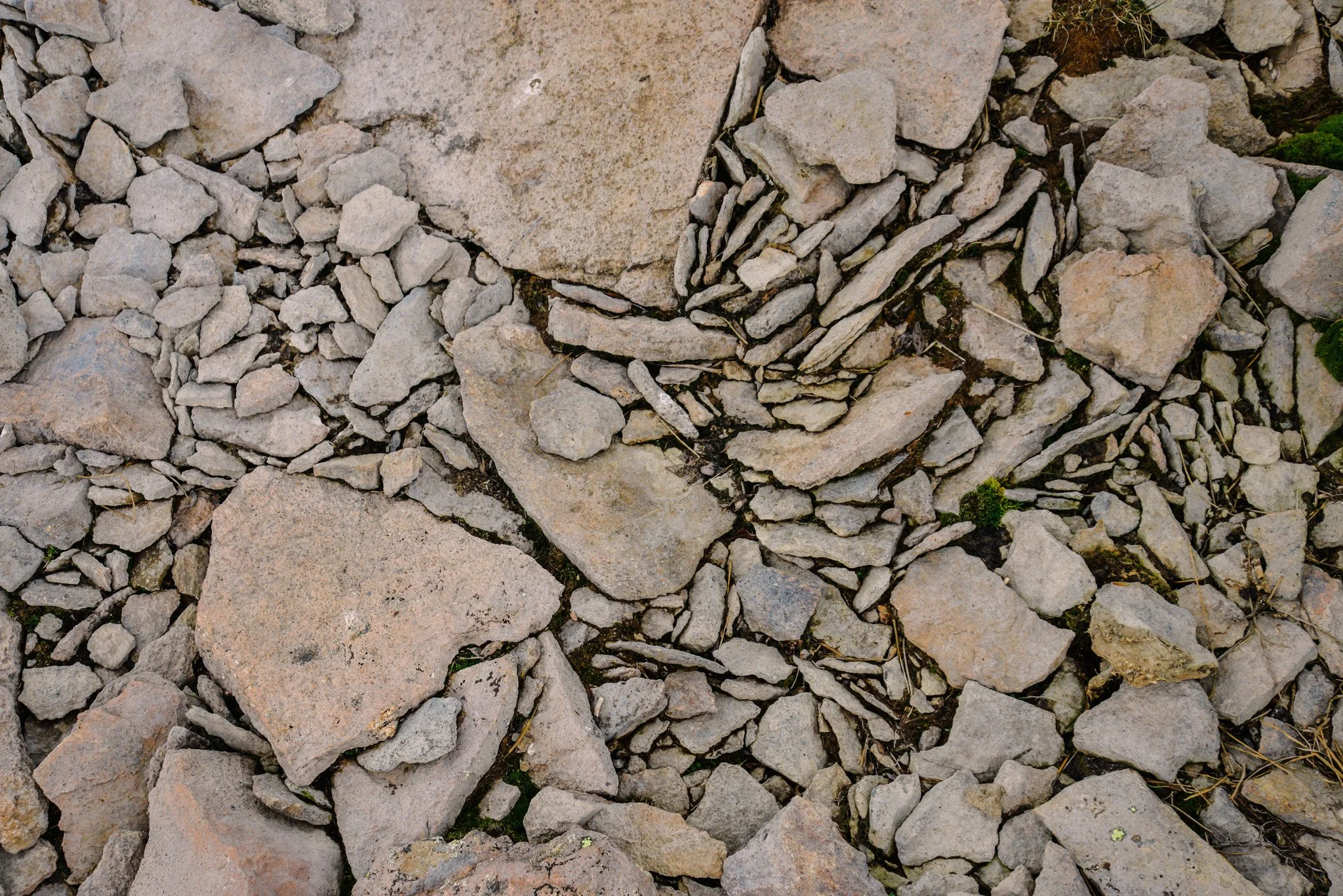 DSC_4104.jpg