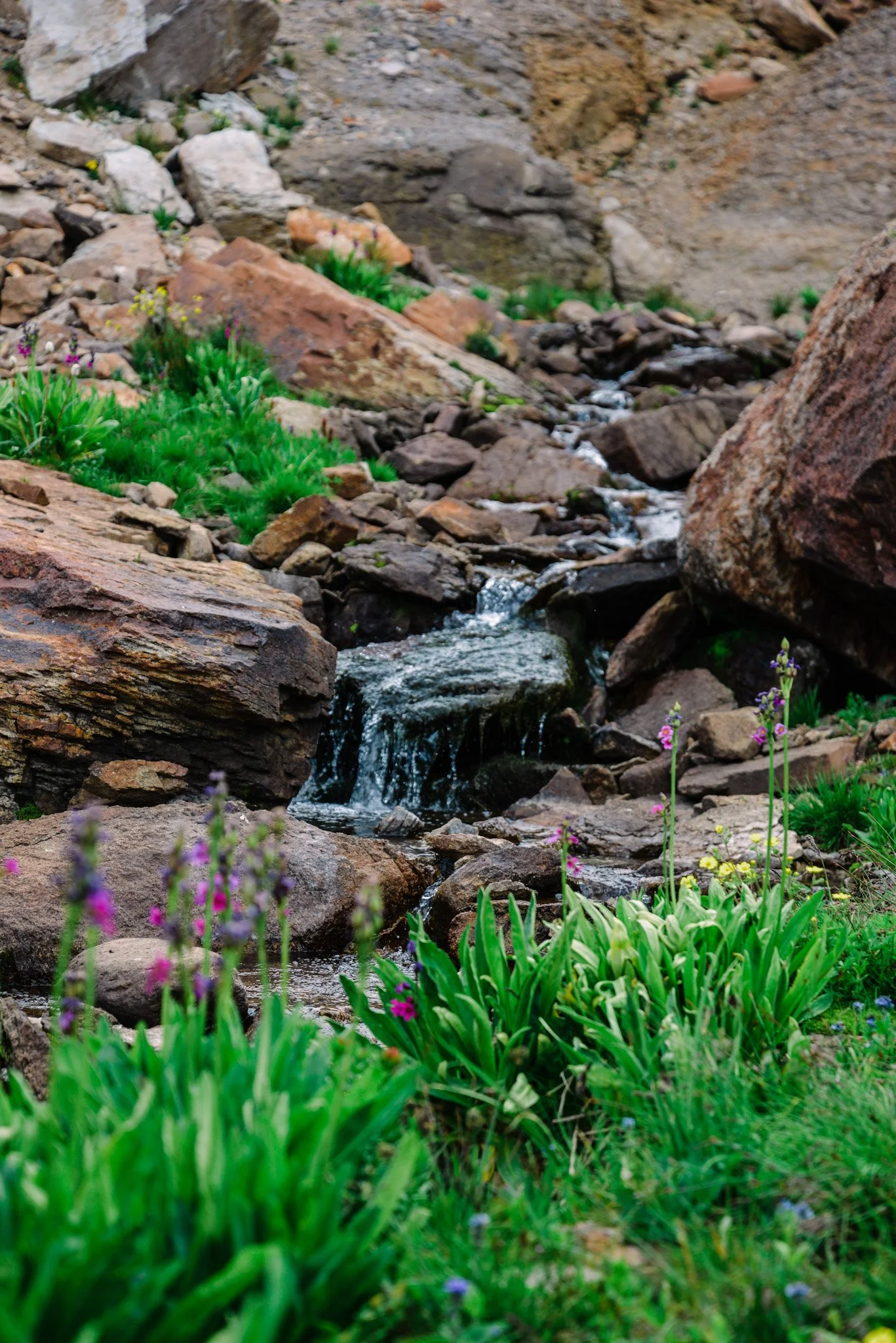 A small rocky waterfall with water flowing over rocks surrounded by green plants and colorful flowers.