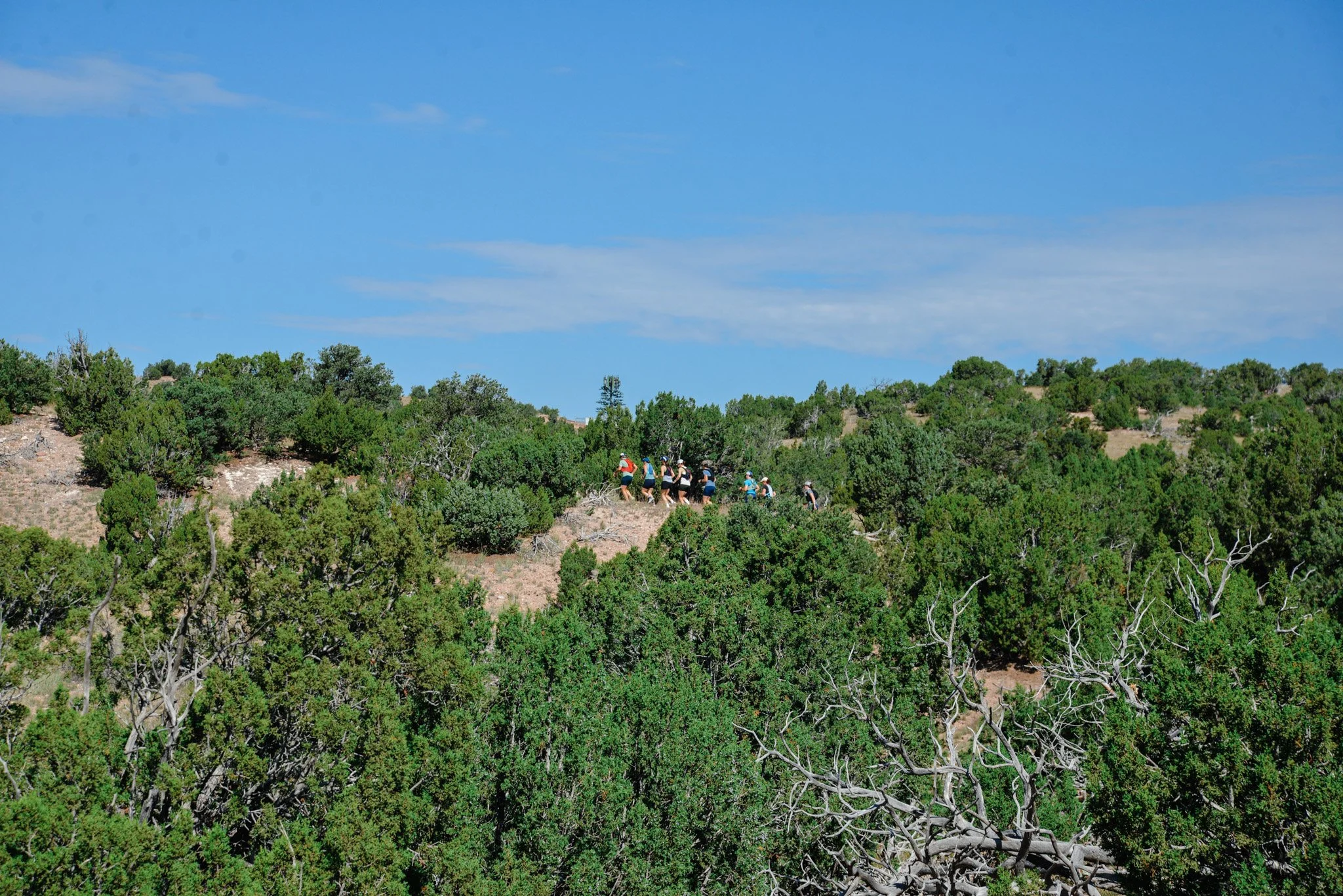 DSC_3440.jpg