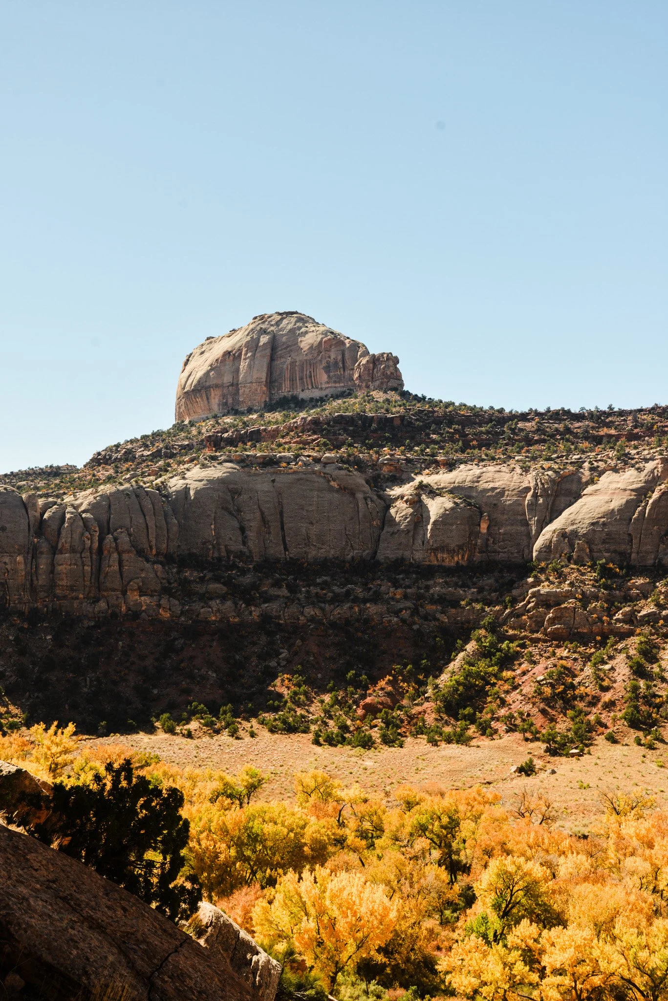 A large rock formation on a mountain with colorful autumn trees at the base beneath a clear blue sky.