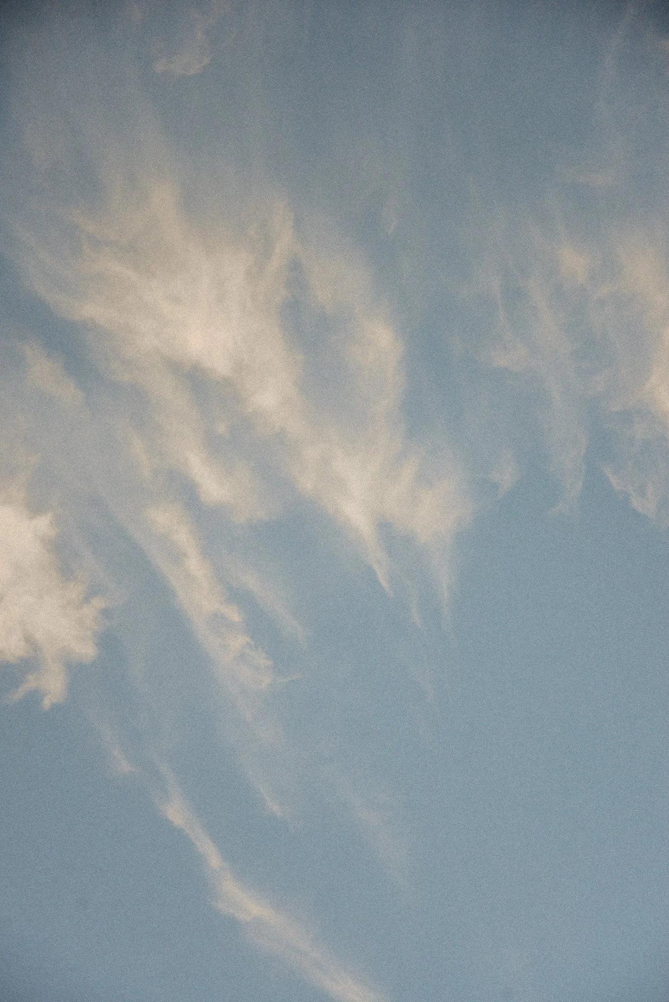 DSC_5185.jpg