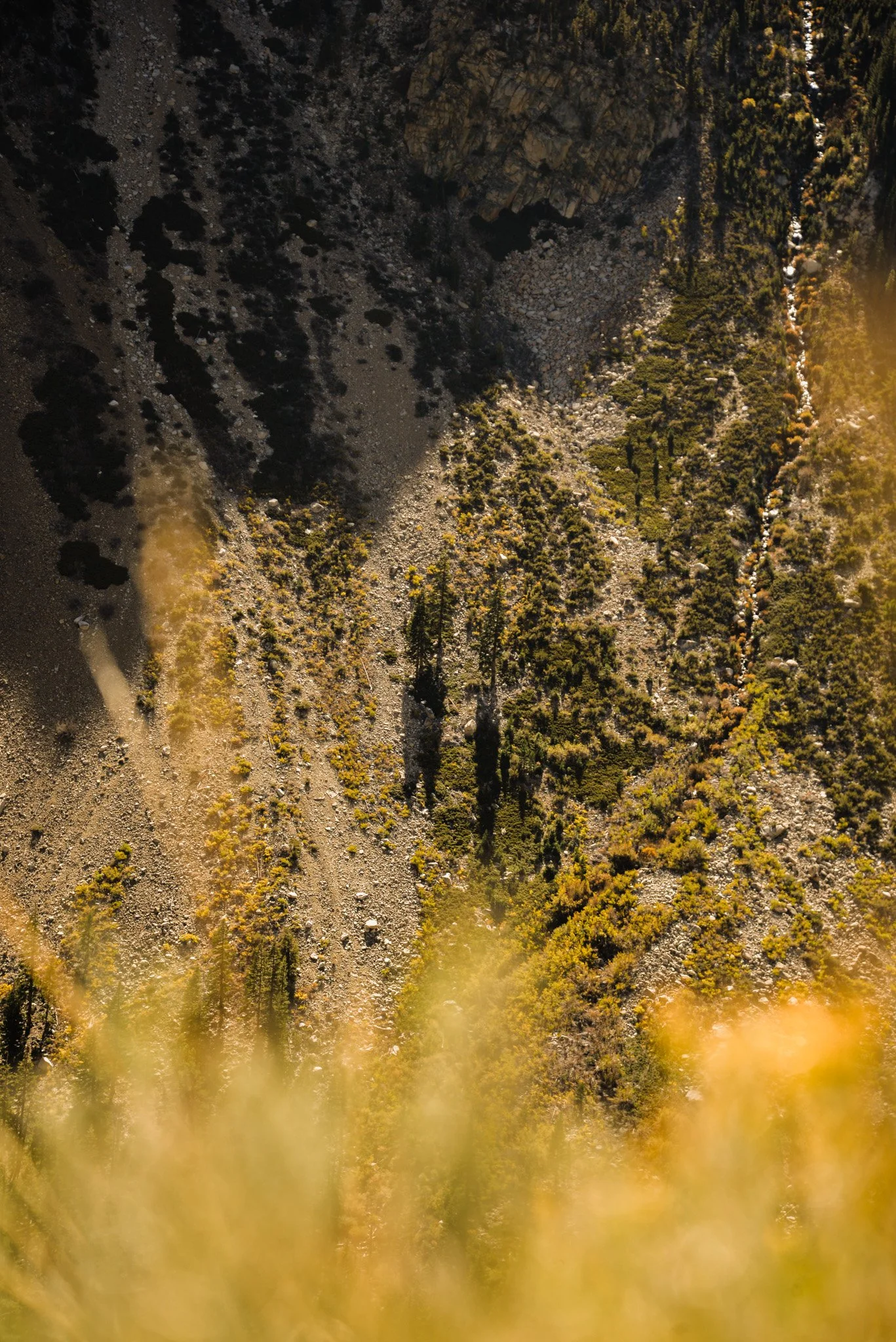 Aerial view of a mountain landscape with trees, rocks, and a dirt path, illuminated by sunlight.
