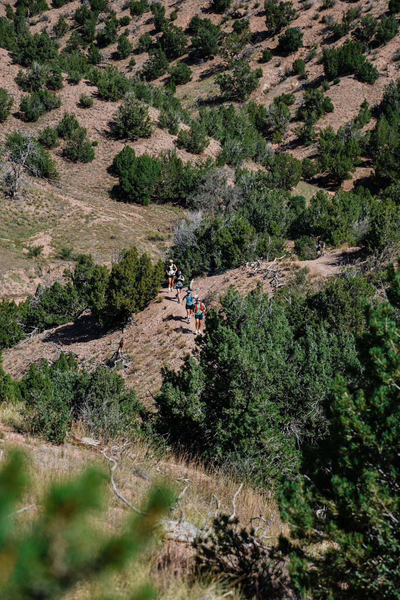 Runners running on a trail through a dry, mountainous landscape with sparse trees and bushes.
