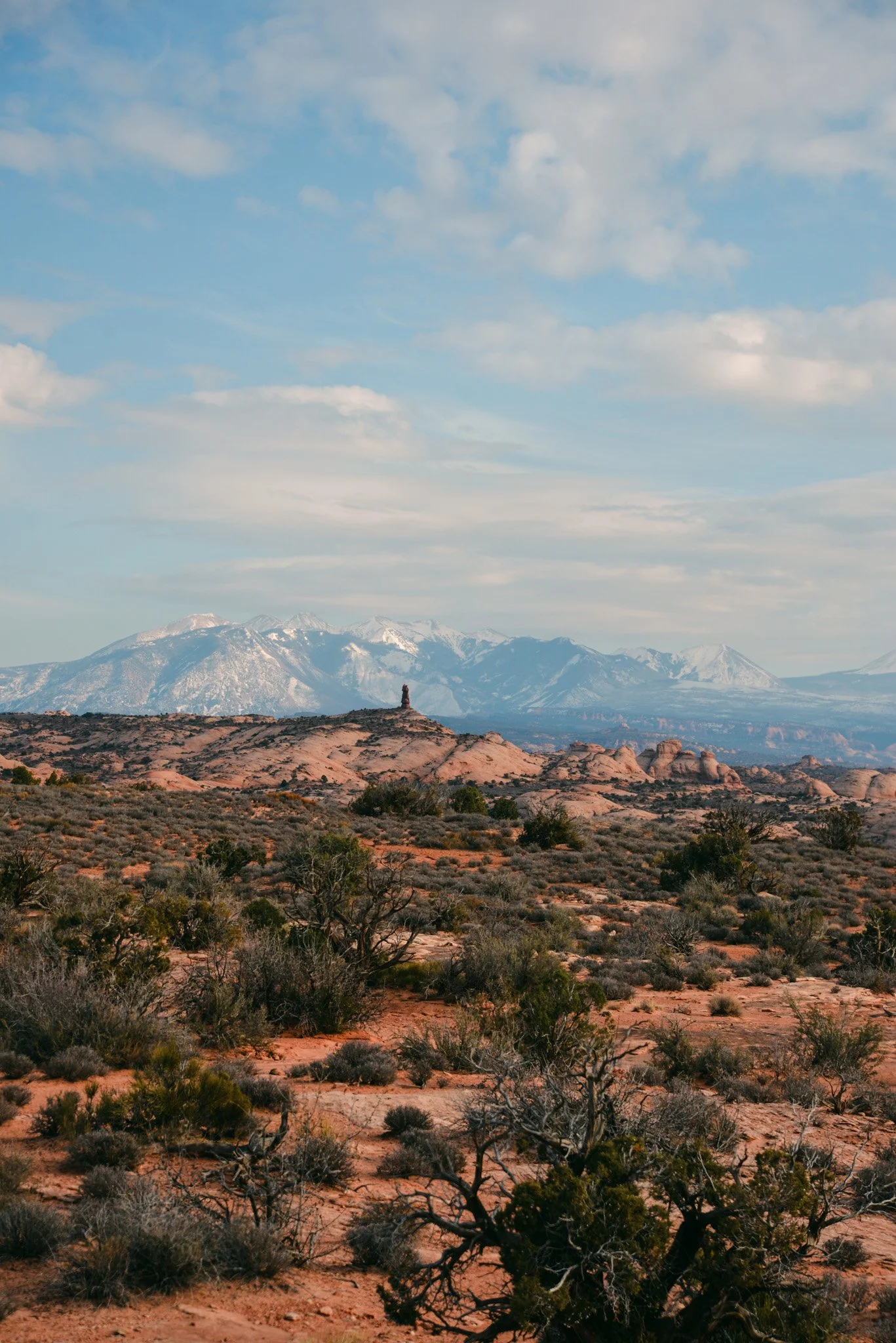 DSC_5133.jpg