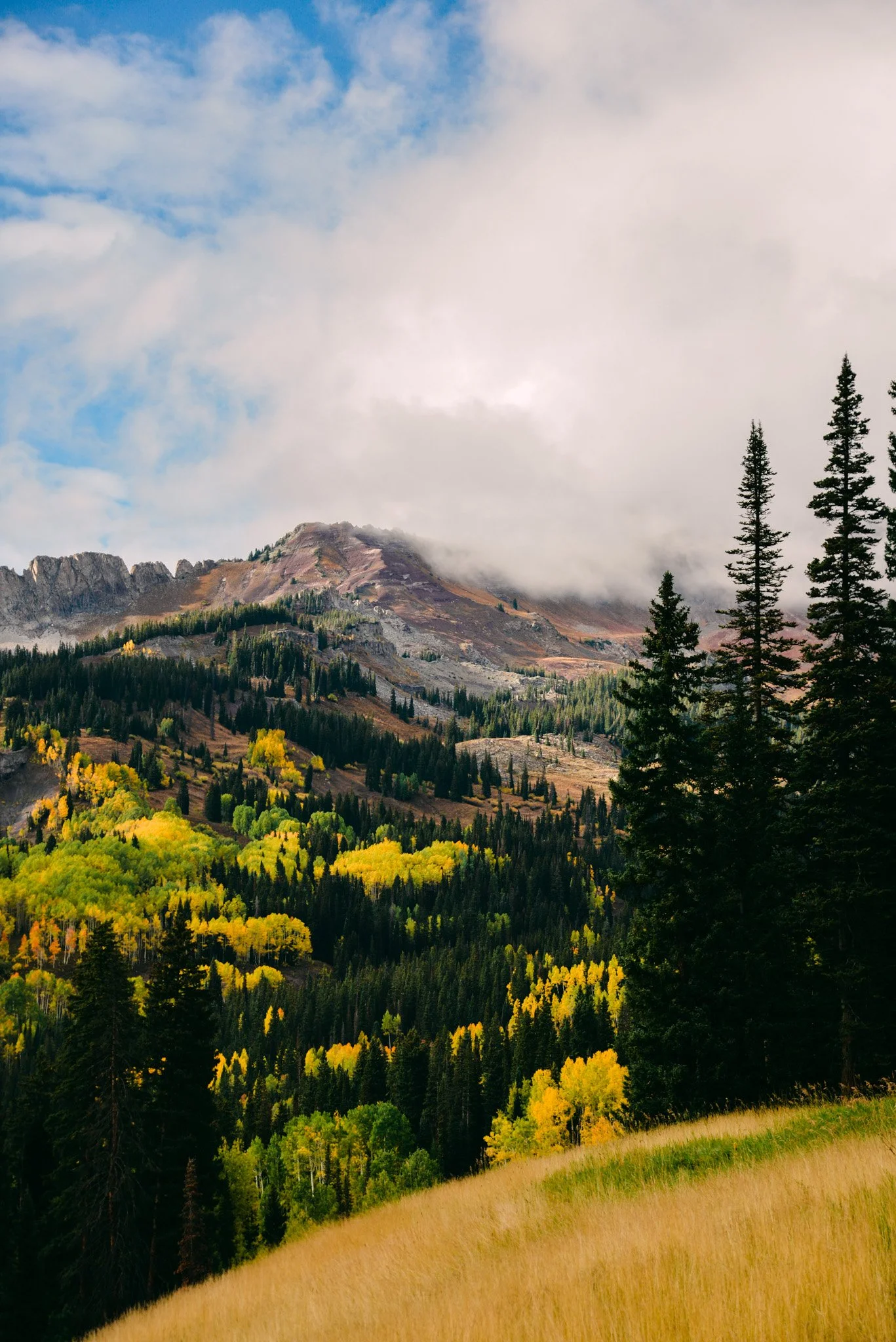A landscape of a mountain with a partly cloudy sky, surrounded by a dense forest of evergreen trees and yellow foliage, with a grassy field in the foreground.