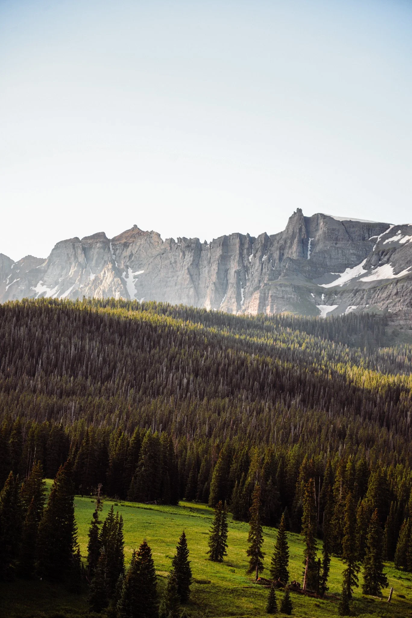 A view of a mountain range with snow patches, a dense forest of pine trees, and a green meadow under a clear sky.