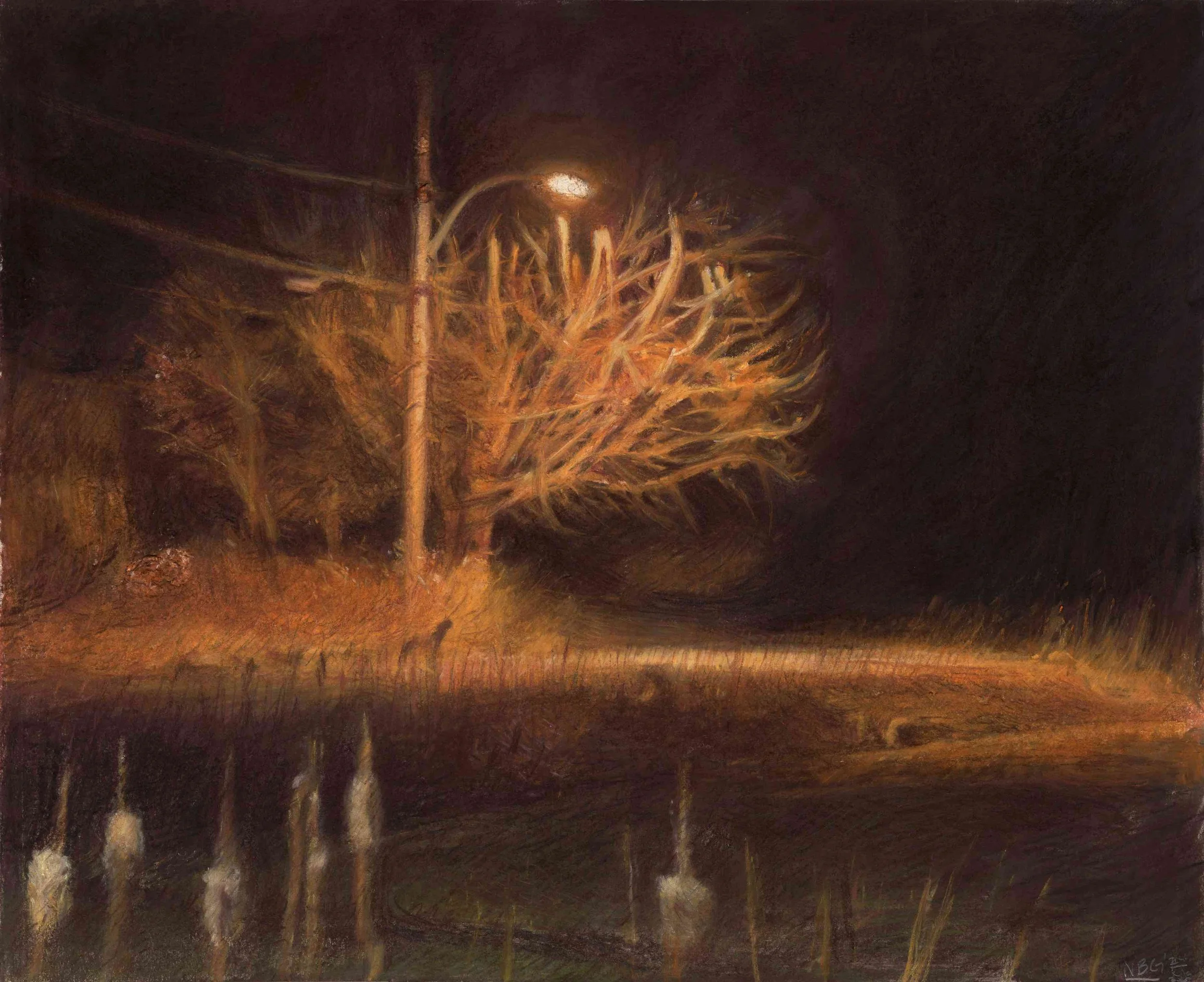 Lake Champlain Tree • Conte crayon, colored charcoal, water, and an x-acto knife on paper • 14 x 17 inches • $1100