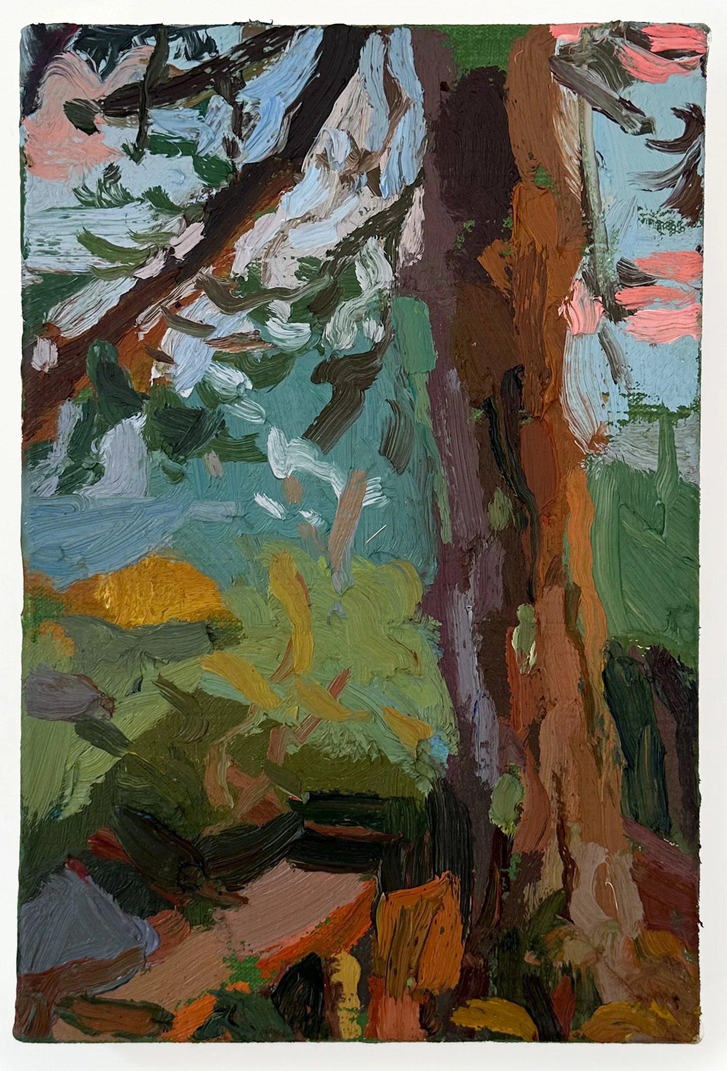 Sunset at Middle Ridge, 2025 • Oil on canvas • 12 x 8 inches • $1,000