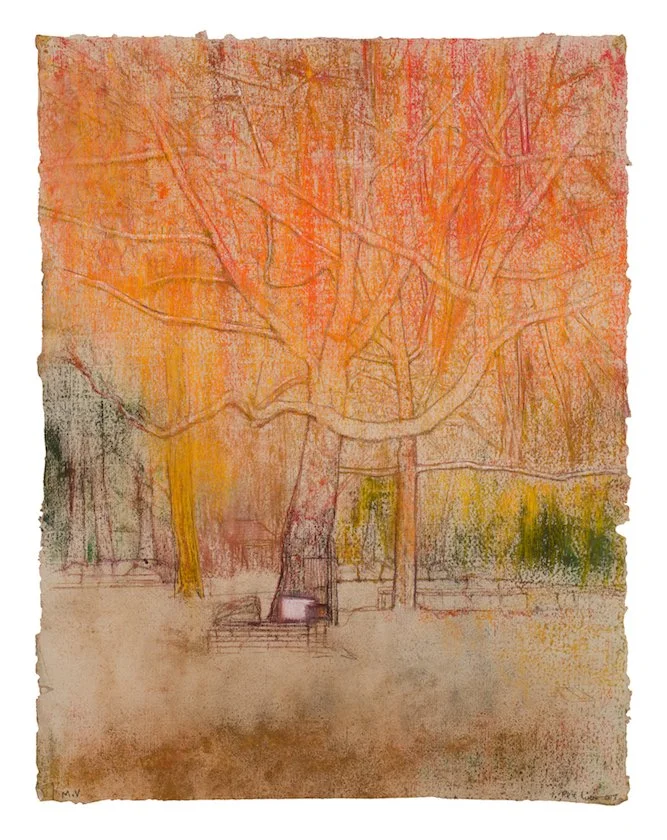 Fire Tree II, from The Farm (2007) (MV)  •  
pastel on handmade paper  •  25.6 x 19.7 inches • $24,000