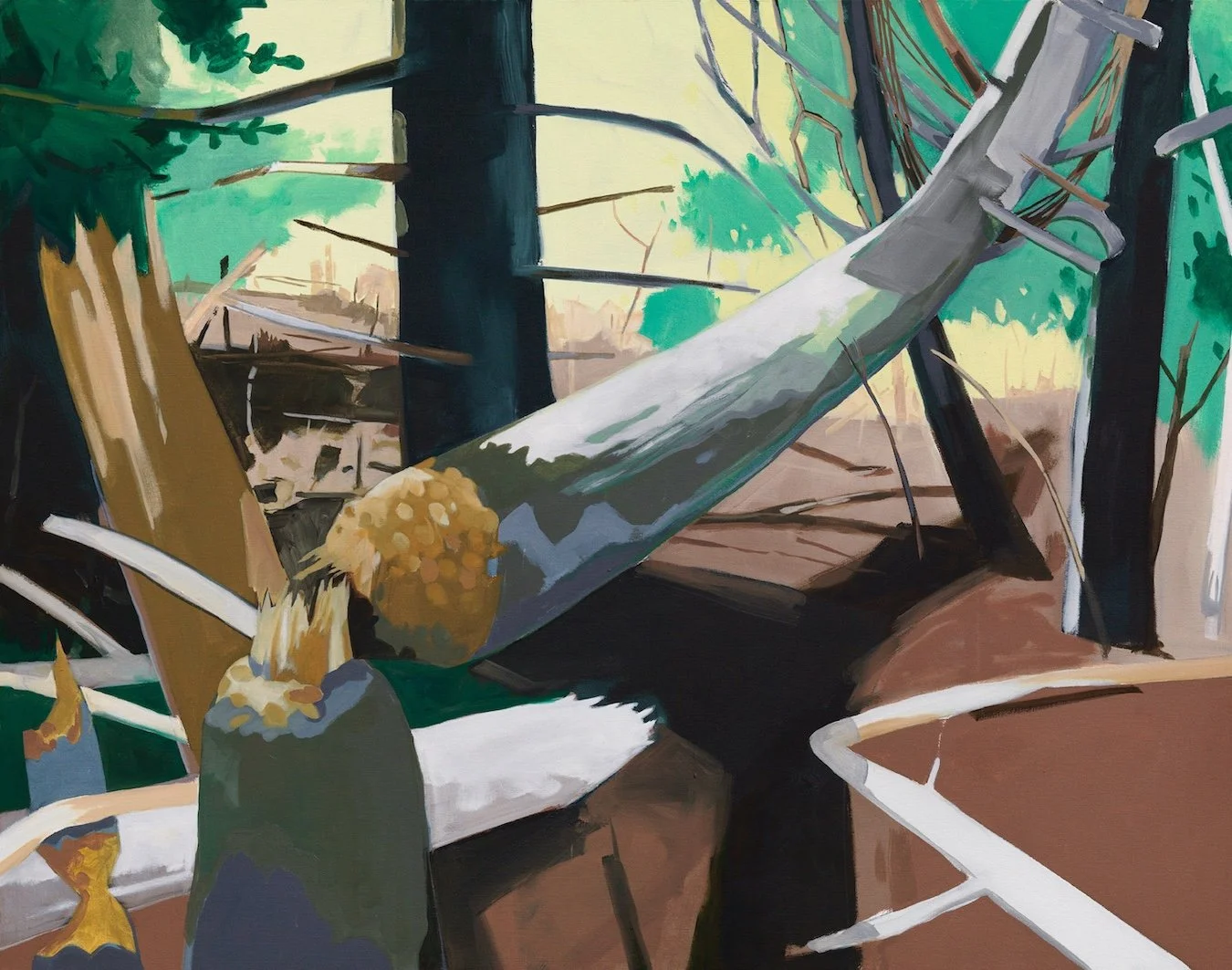Beaver Cuts #1, Maine (2017)  •  oil on canvas  •     52 x 66 inches • $18,000