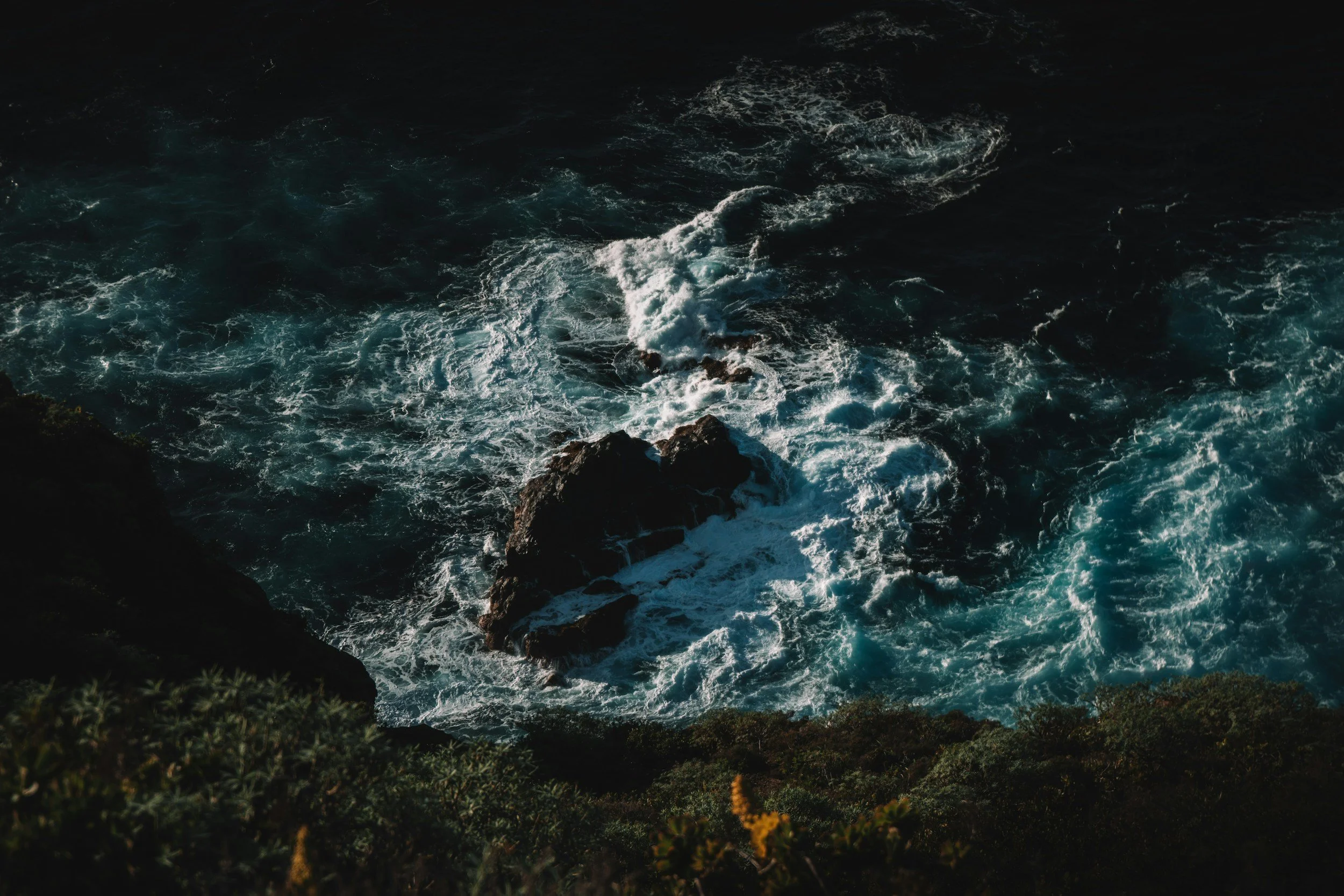 Life comes in Waves